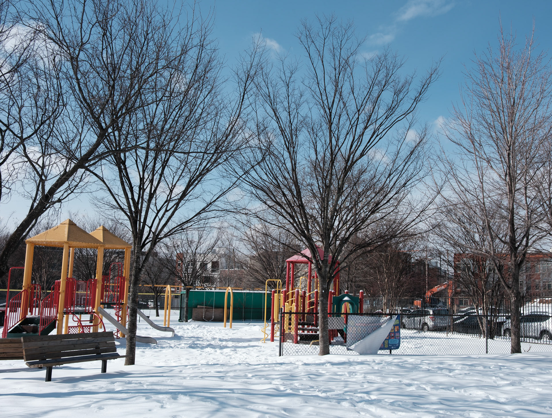 Francis Park on 26 January 2026