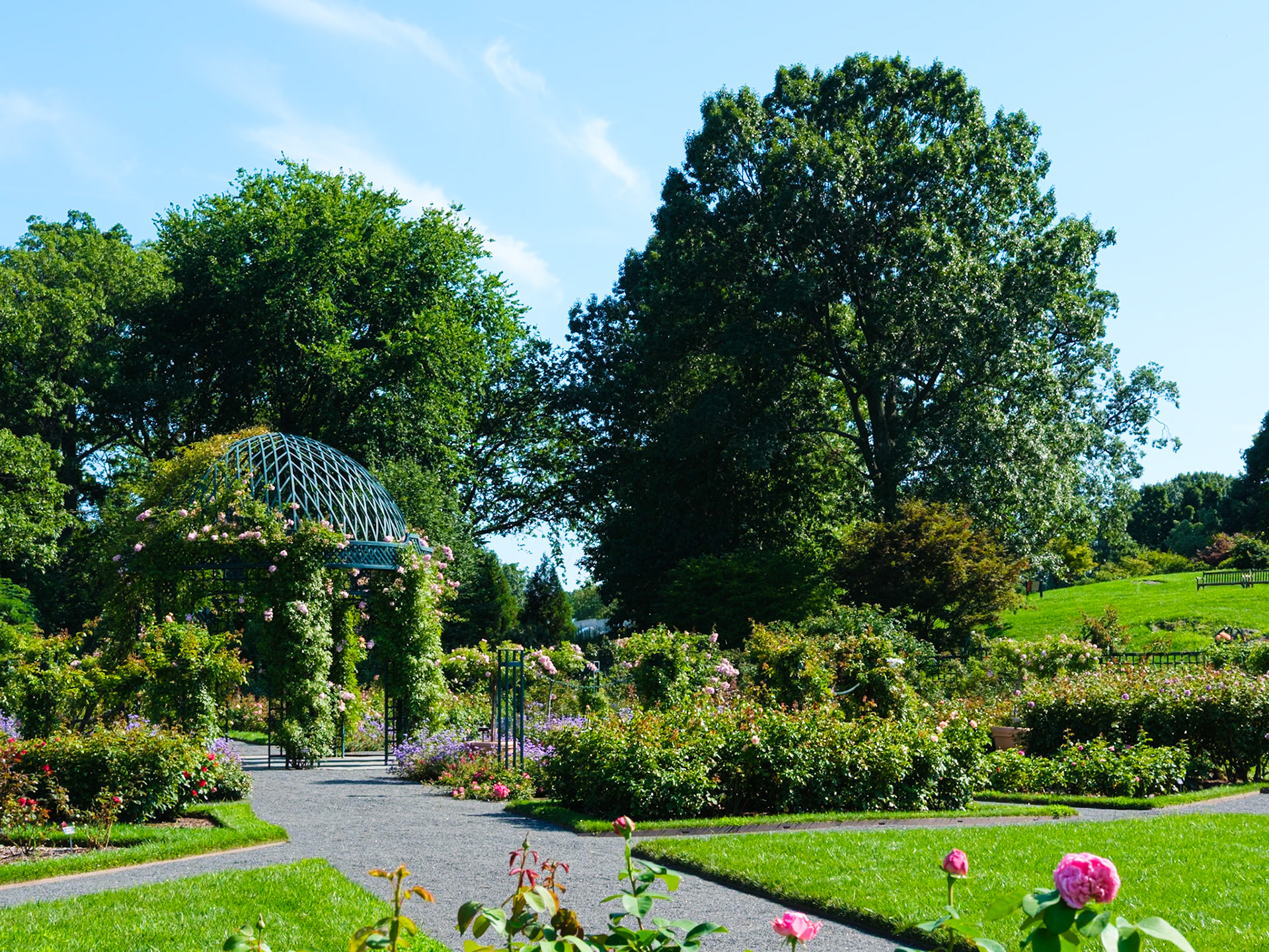 Overlook and Gazebo of the Peggy Rockefeller Rose Garden of NYBG