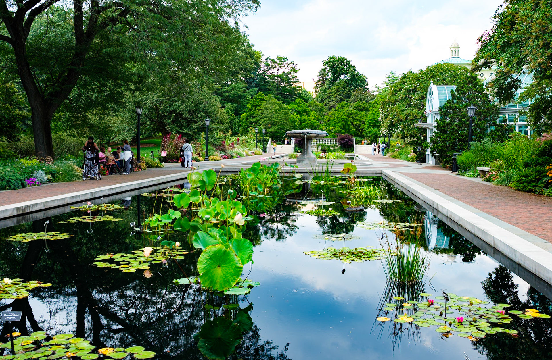 Fountain Between Water Lily Pools at Brooklyn Botanic