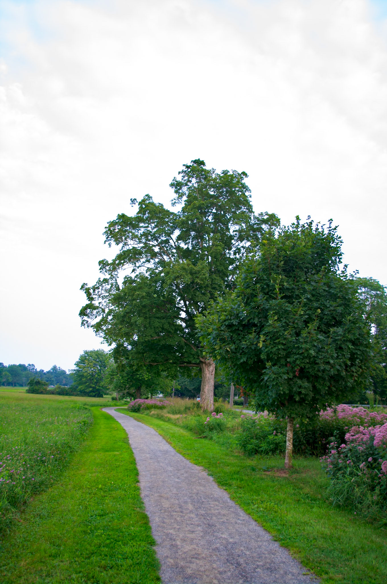 West Walk of Lebanon Green