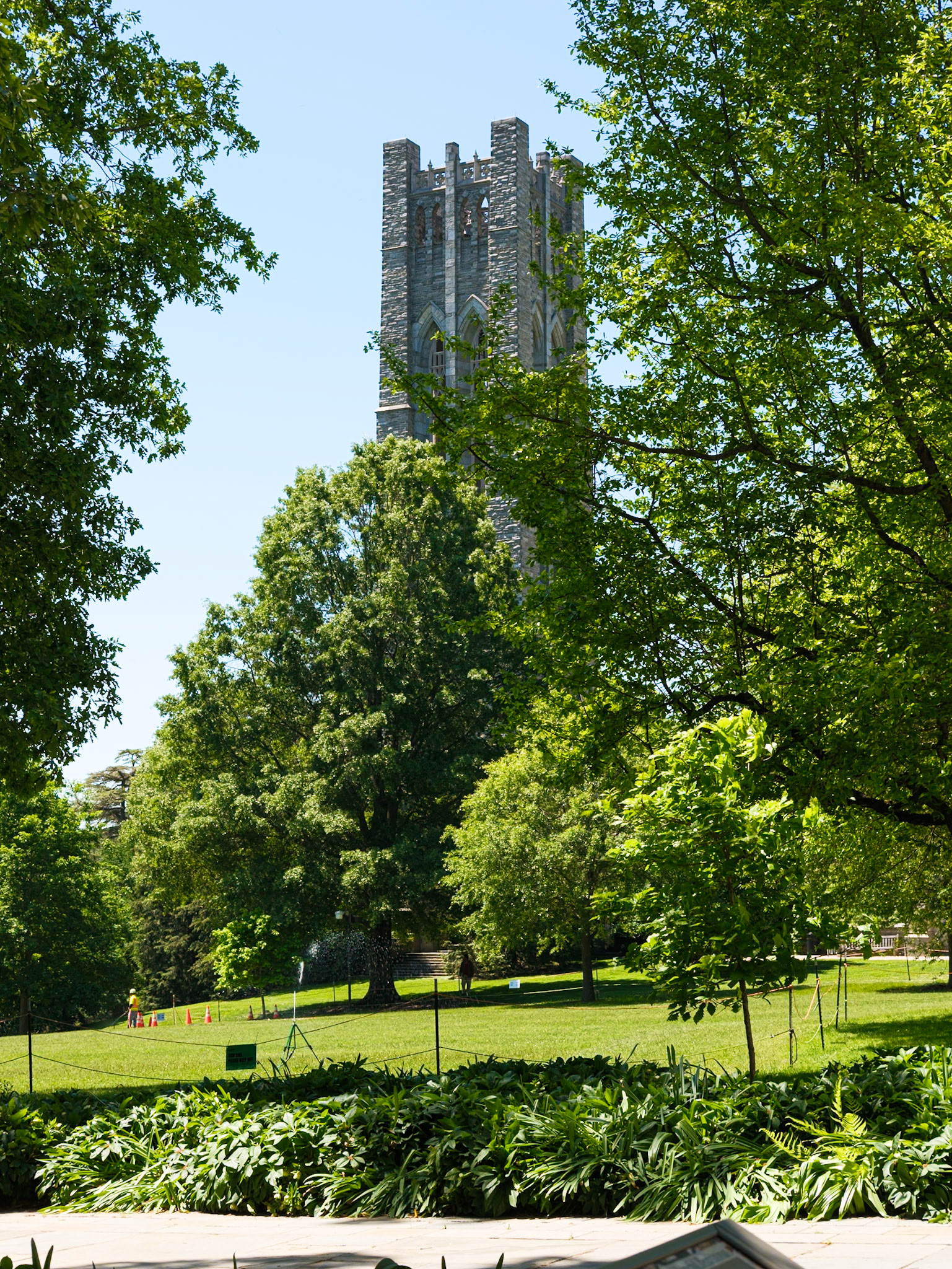 Clothier Tower from Parrish Hall