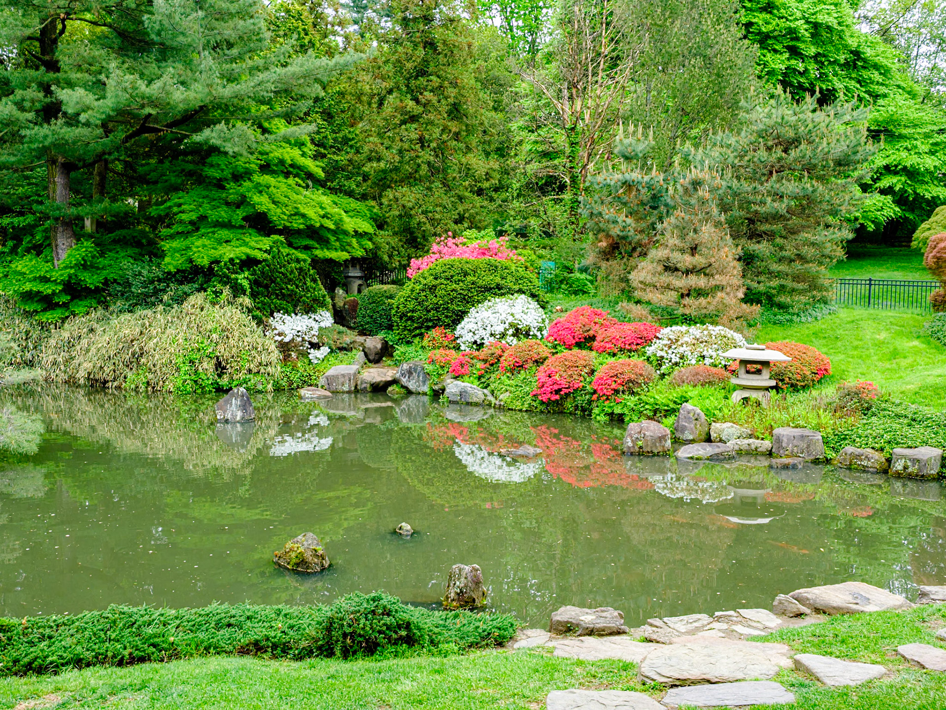 View of Pond From Japanese House