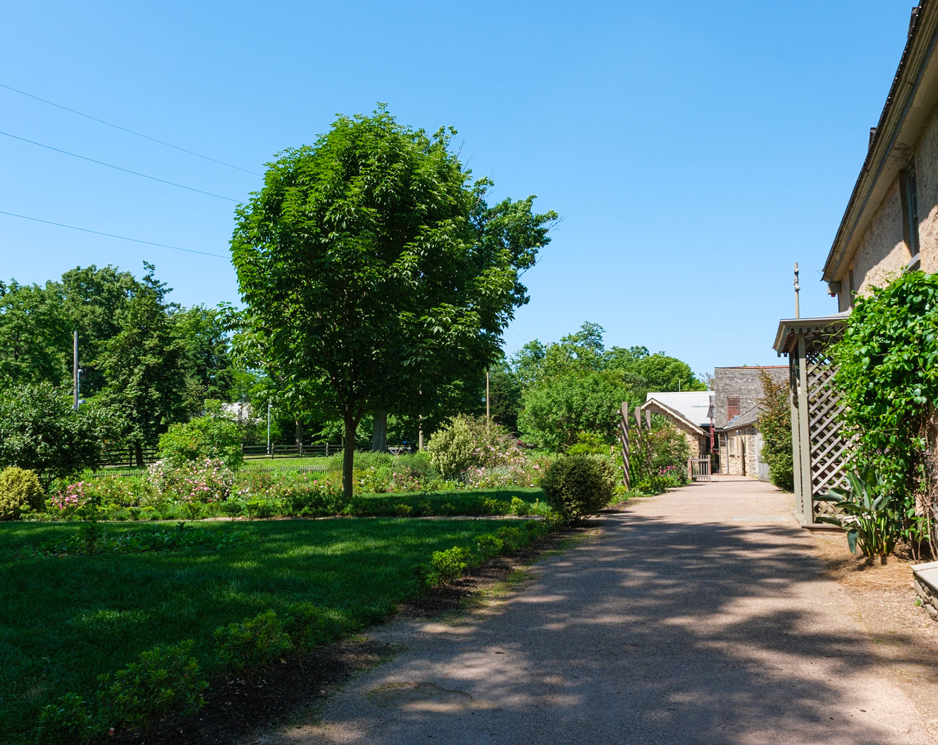 Promenad Along West Side of Bartram House