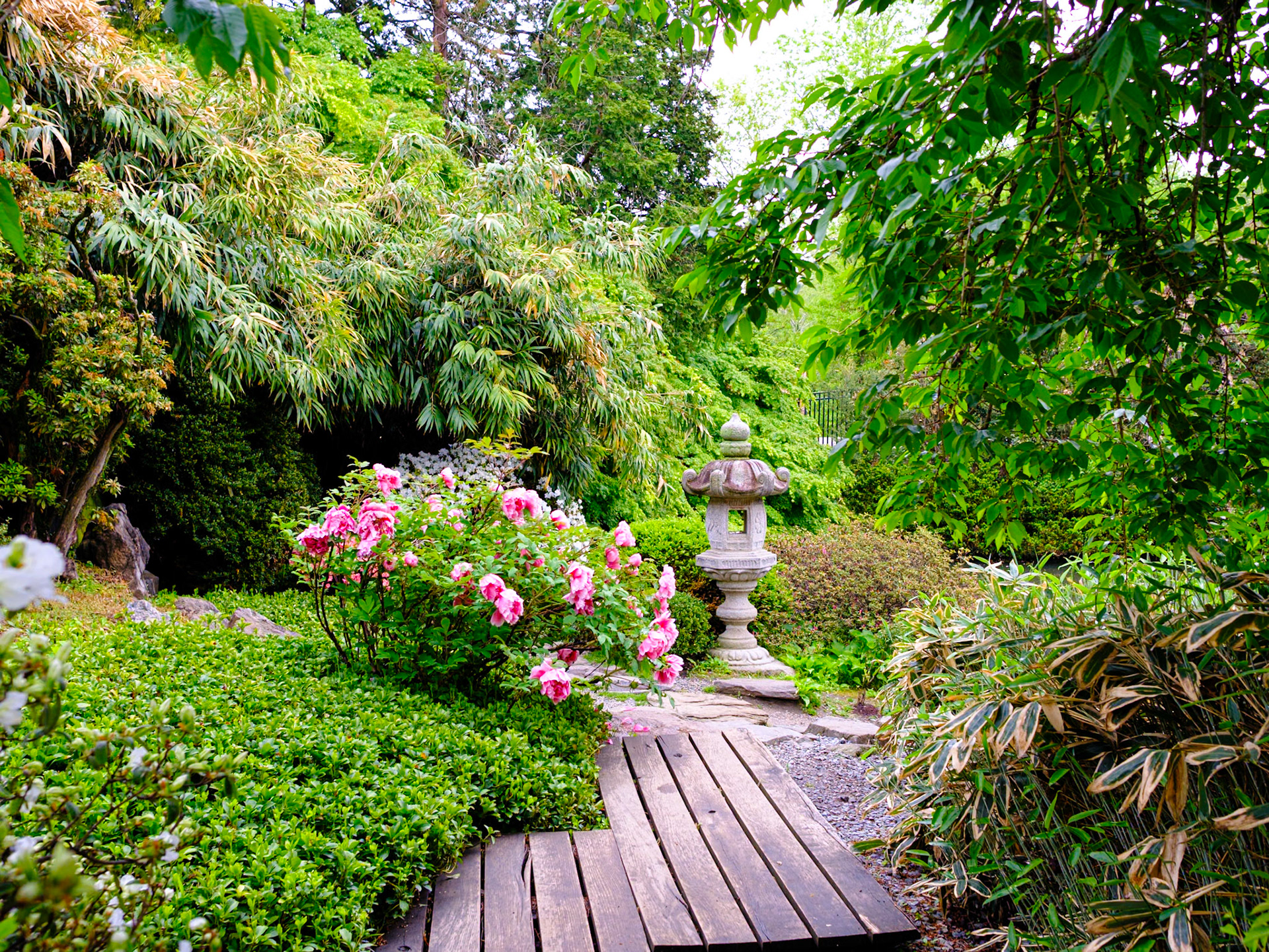 Entrance Walkway at Japanese House