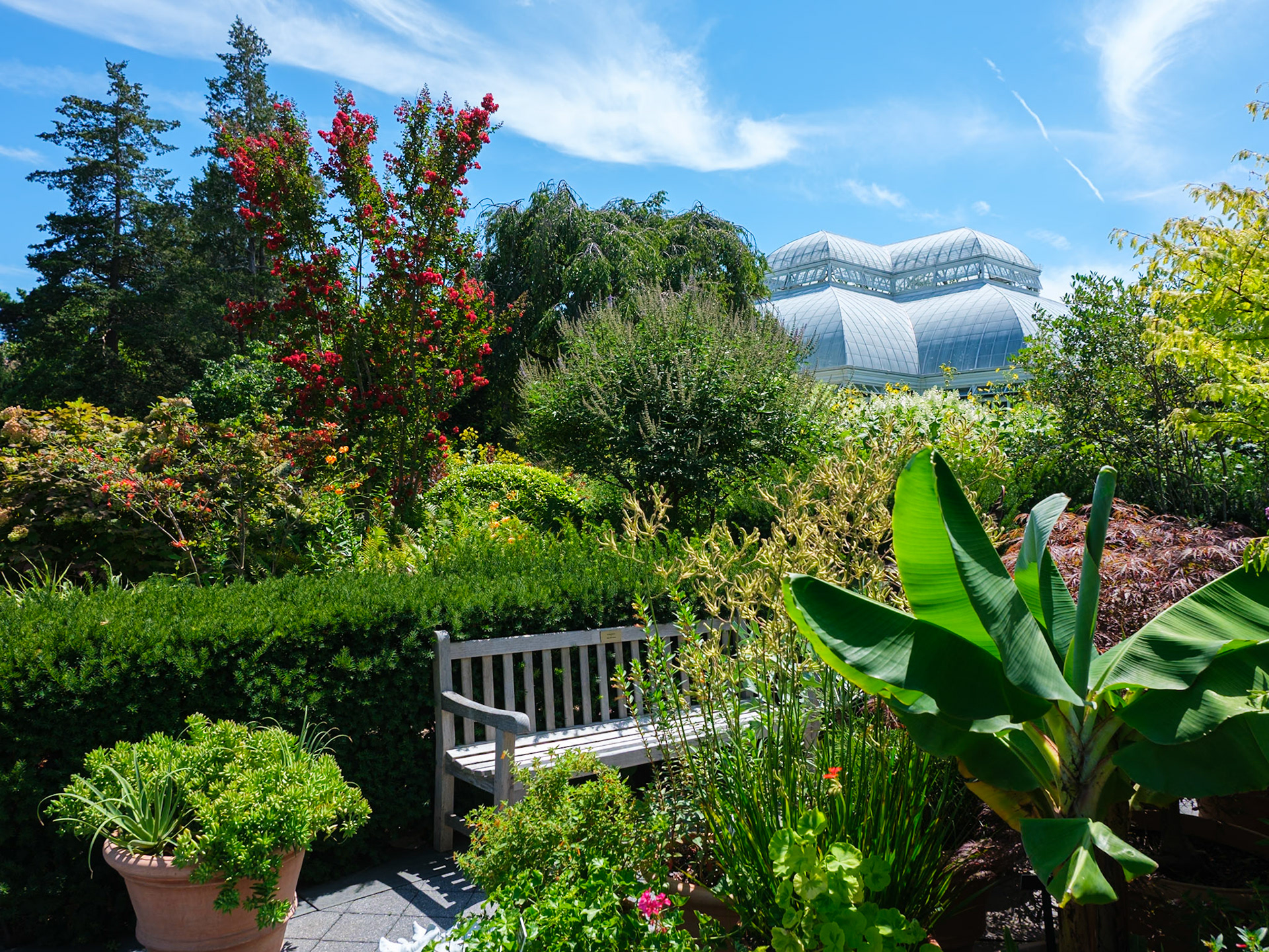 A Pereanal Corner With Bench and Conservatory Pavilion in Background New York Botanlical Garden