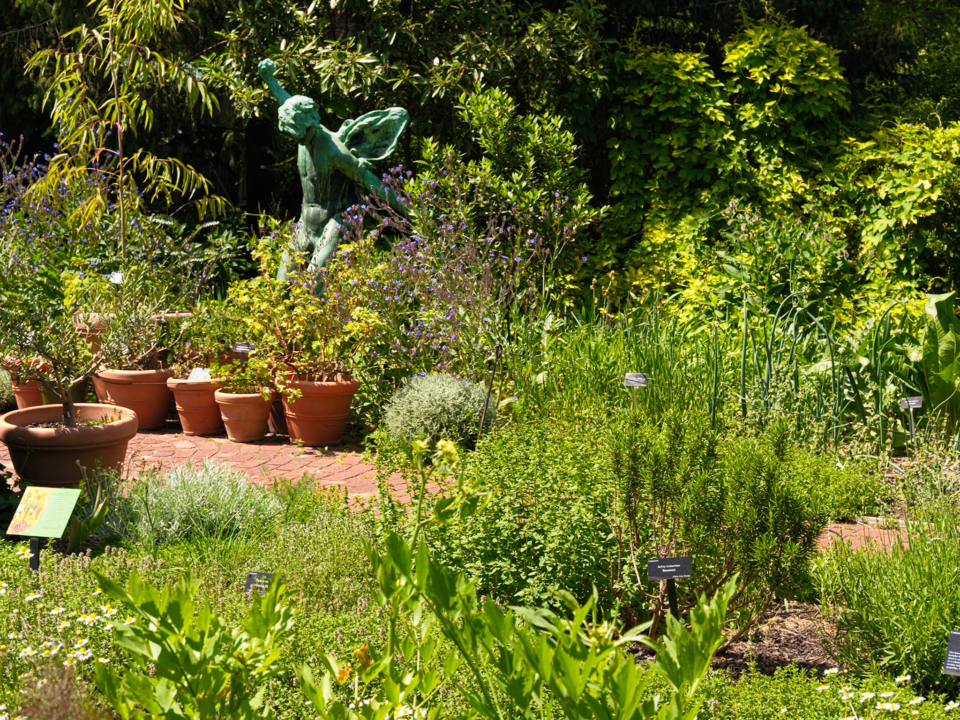 Educational Garden at Queens Botanical