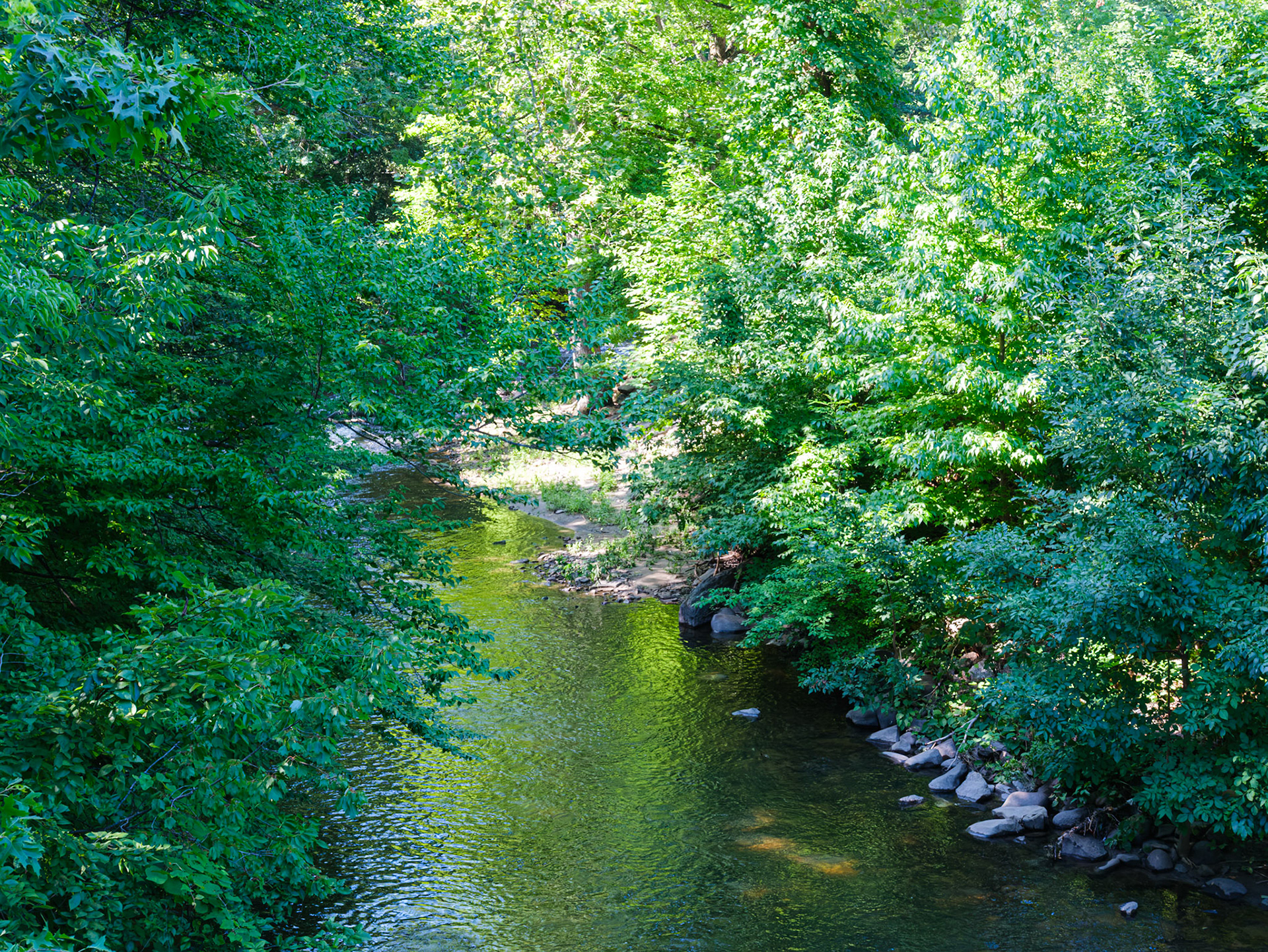 Bronx River as Seen frm Azalea Way at NYBG