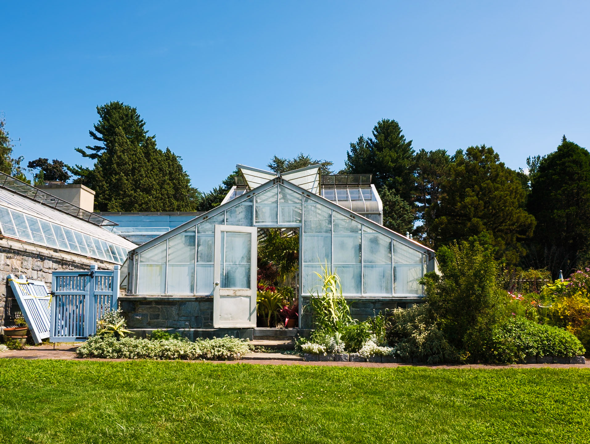 Welcome to the Wave Hill Greenhouse!  August 2024