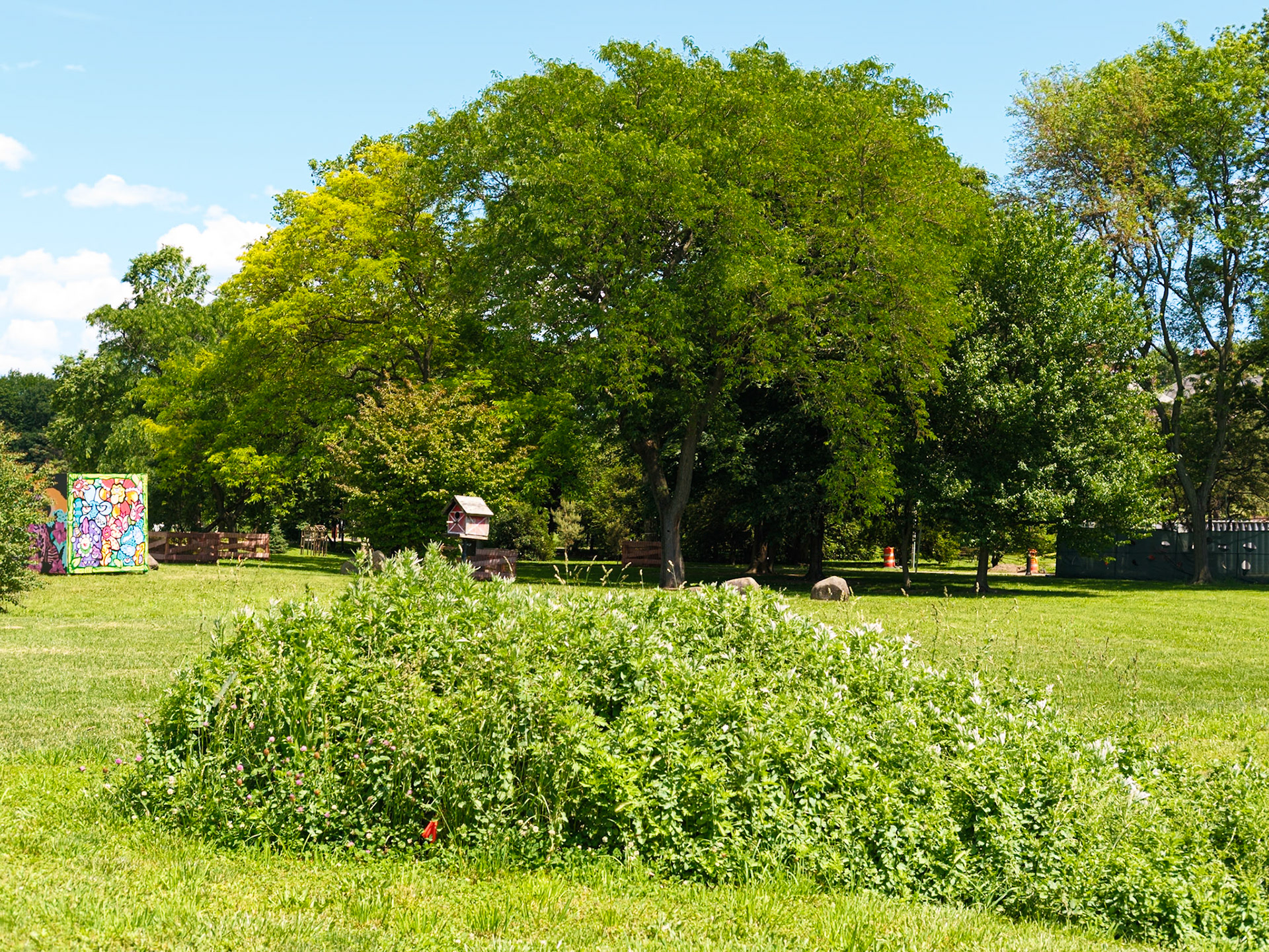 Meadow Tree With Birdhouse at Queens Botanical