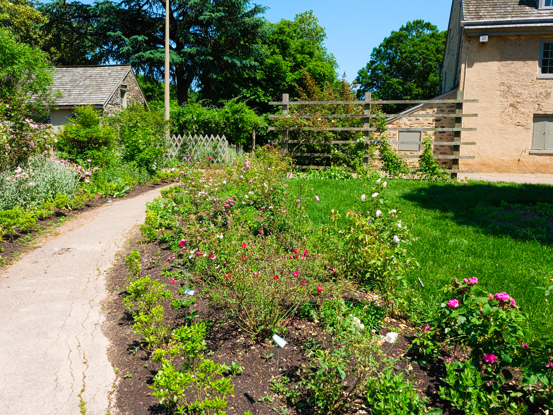 Rose Garden Path at Bartram’s