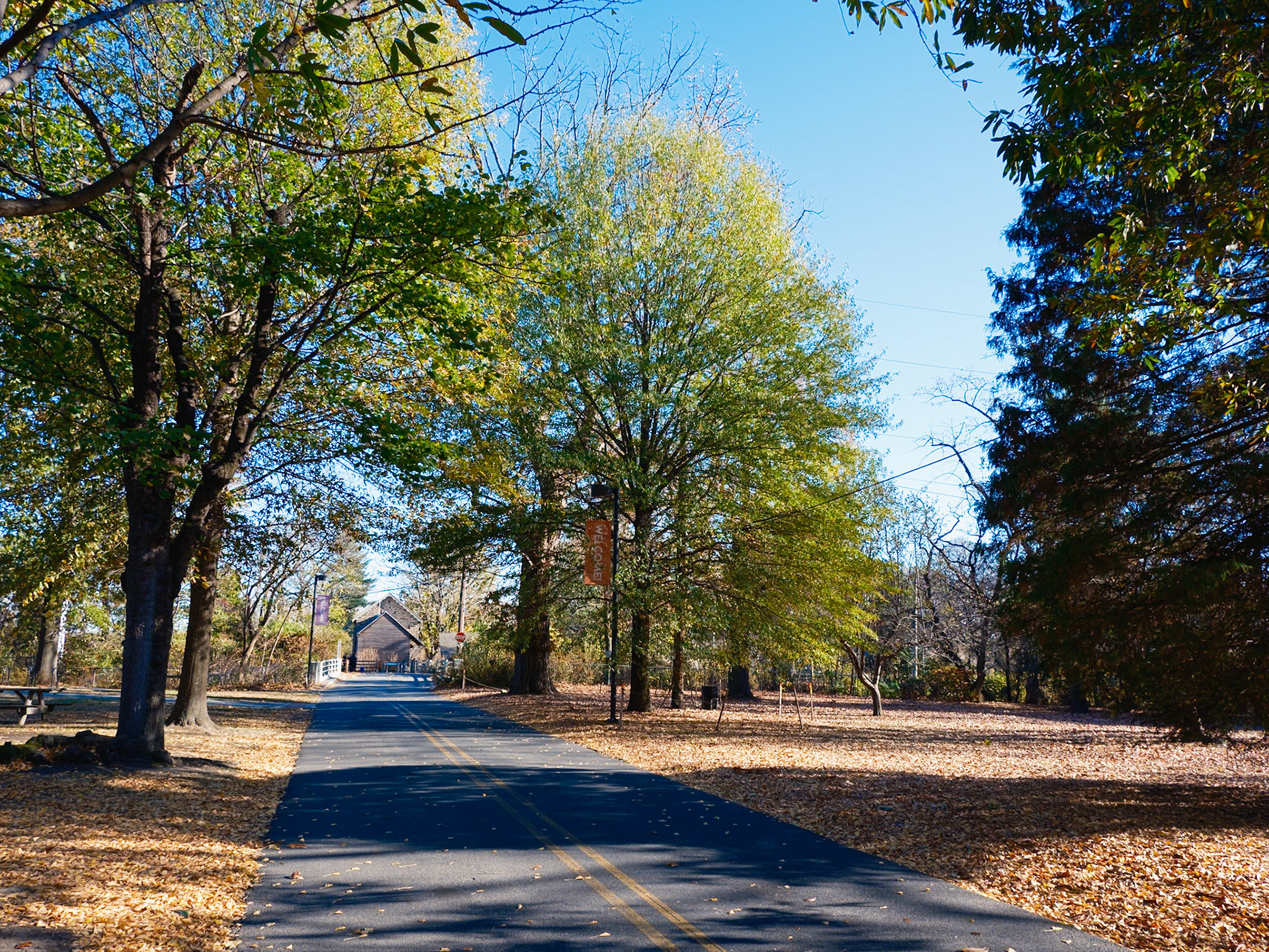 Road to Bartram’s in November