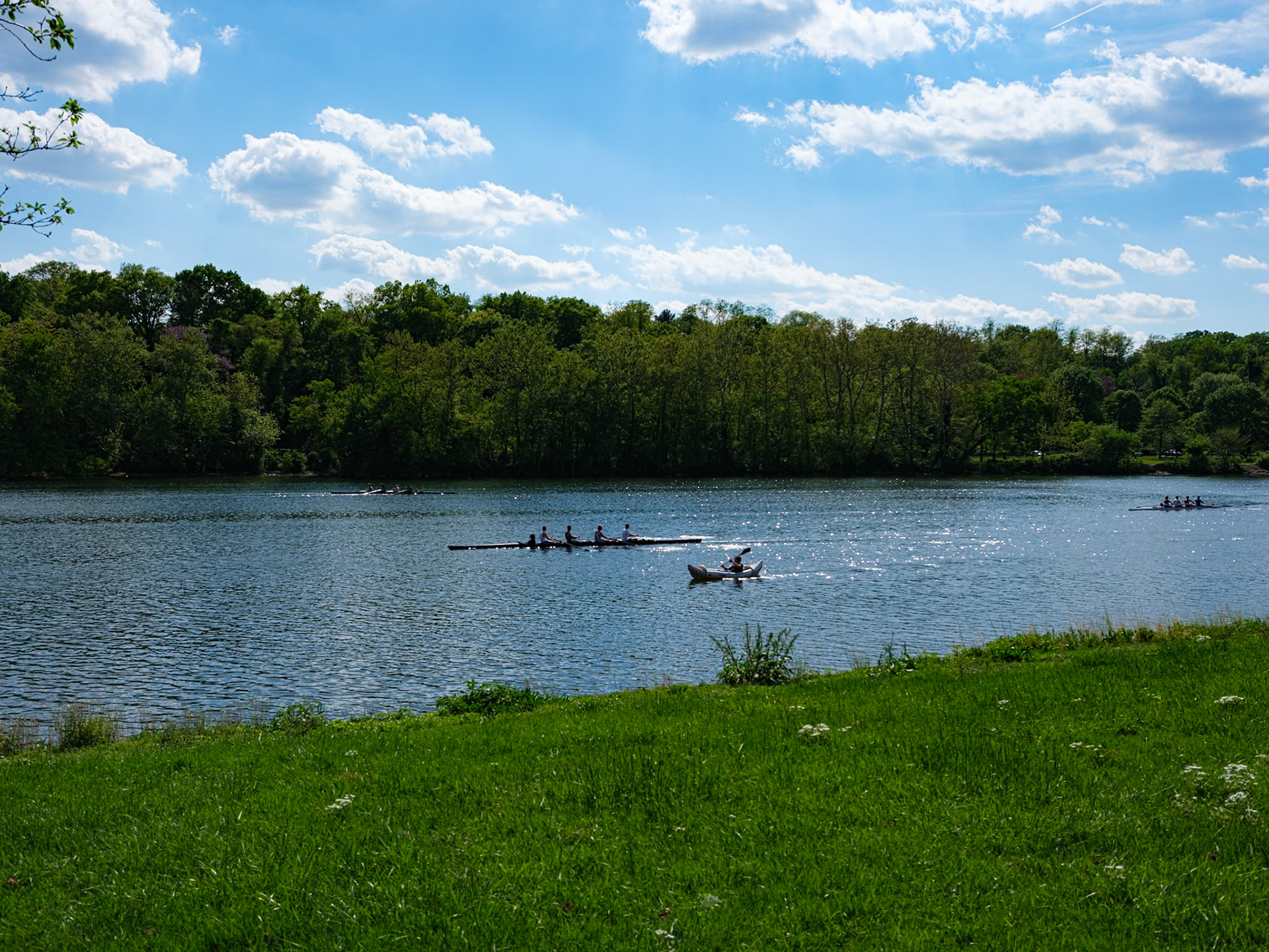 Two Rowing Teams and Coach