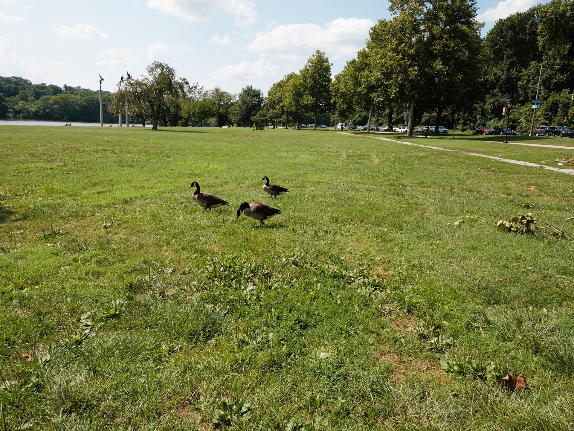 Threesome of Geest at Fairmount Park