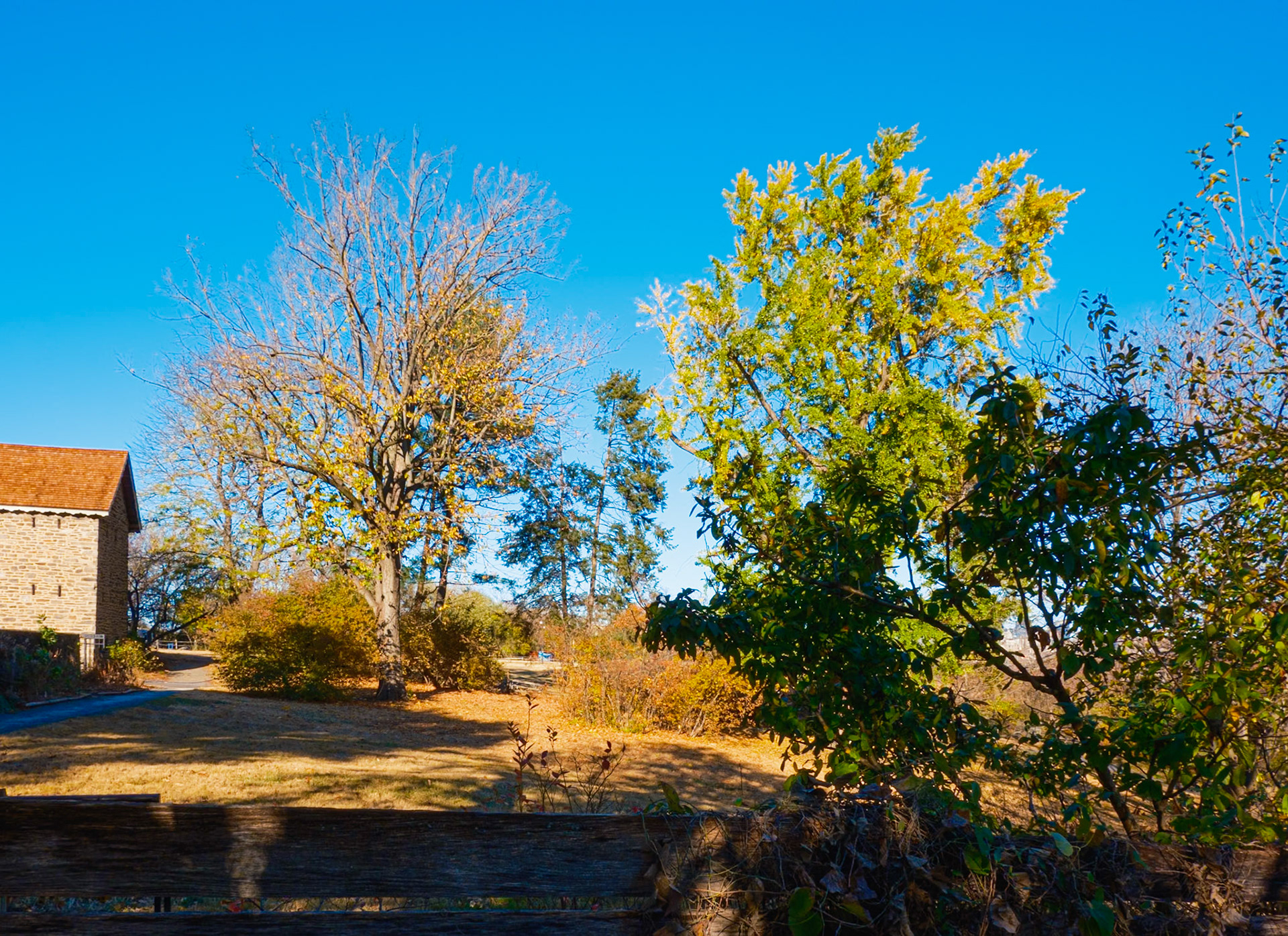 East Yard at Bartram’s