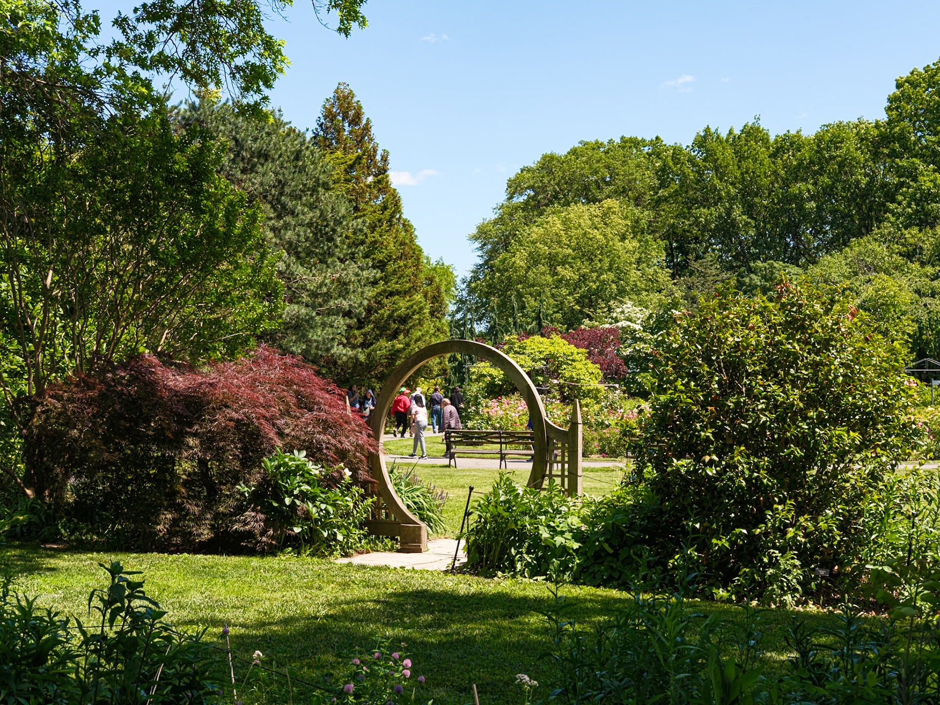 Rose Garden Arch Looking Towards Rose Garden at Queens Botanical