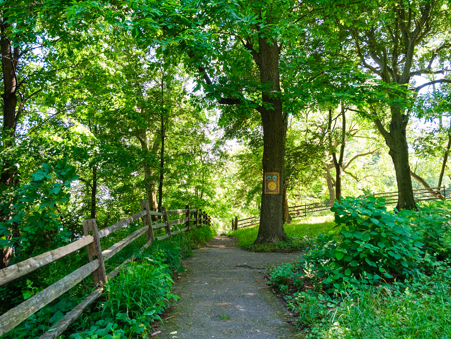 Trail Intersection and Fence at Bartram's
