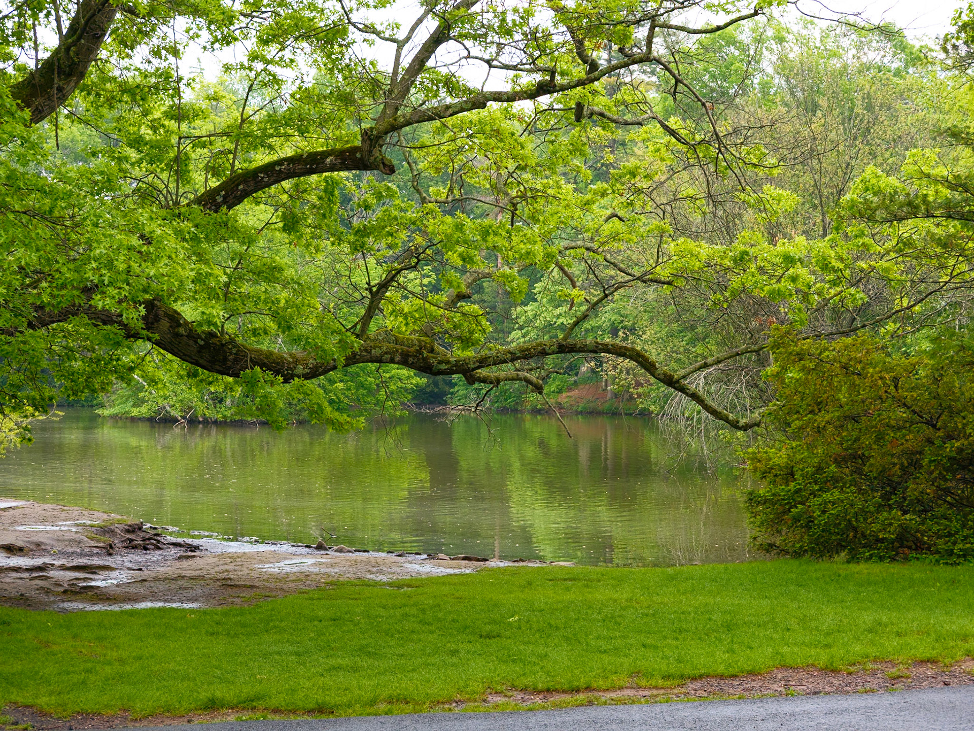 Lake and Trees at Elizabeth Park Hartford May 2026
