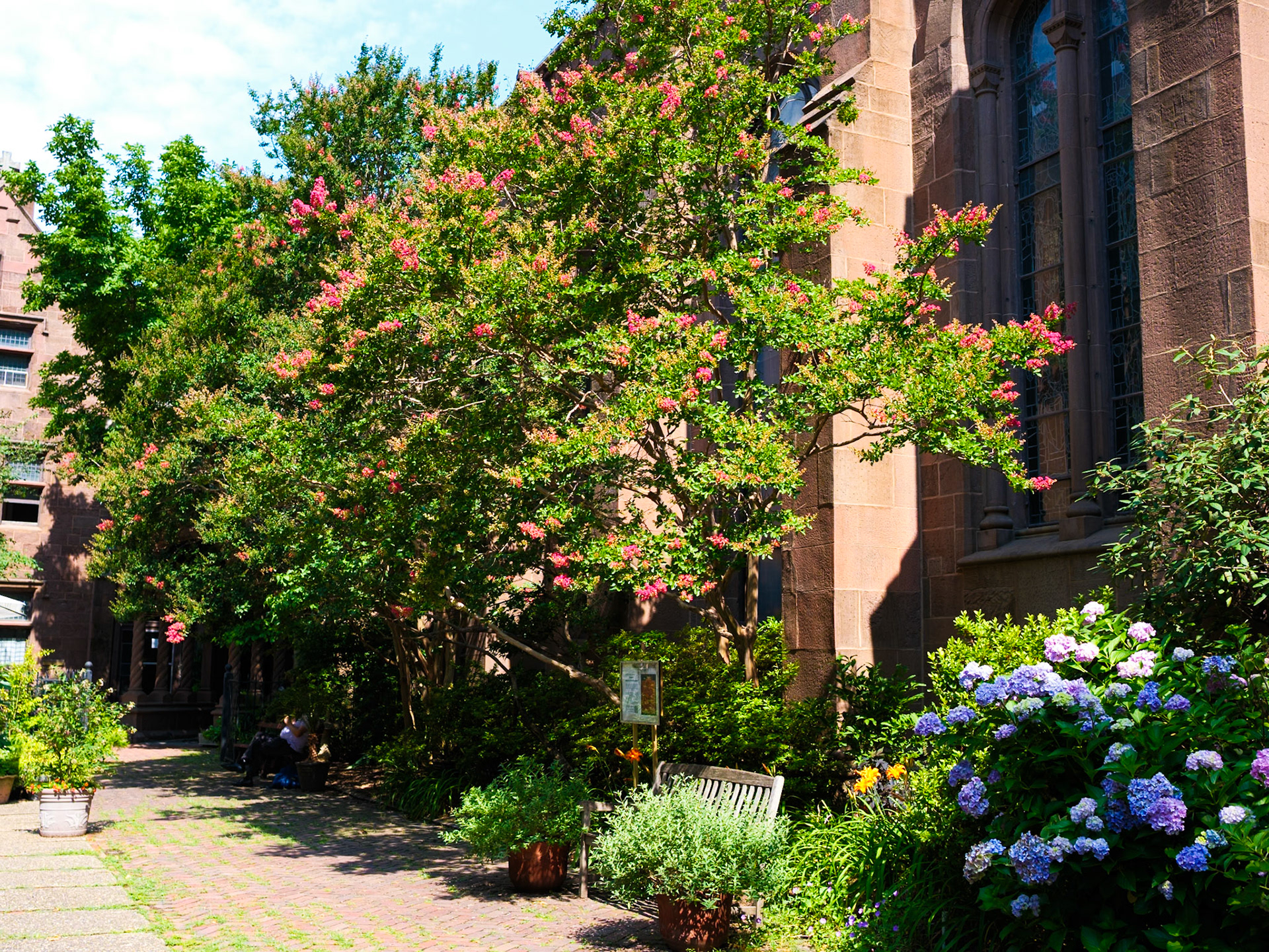 Mid July at St Clement’s Garden