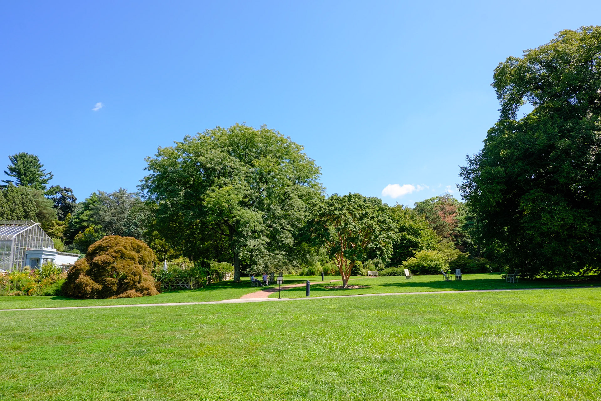 Several Trees Near Greenhouse at Wave Hill August 2024
