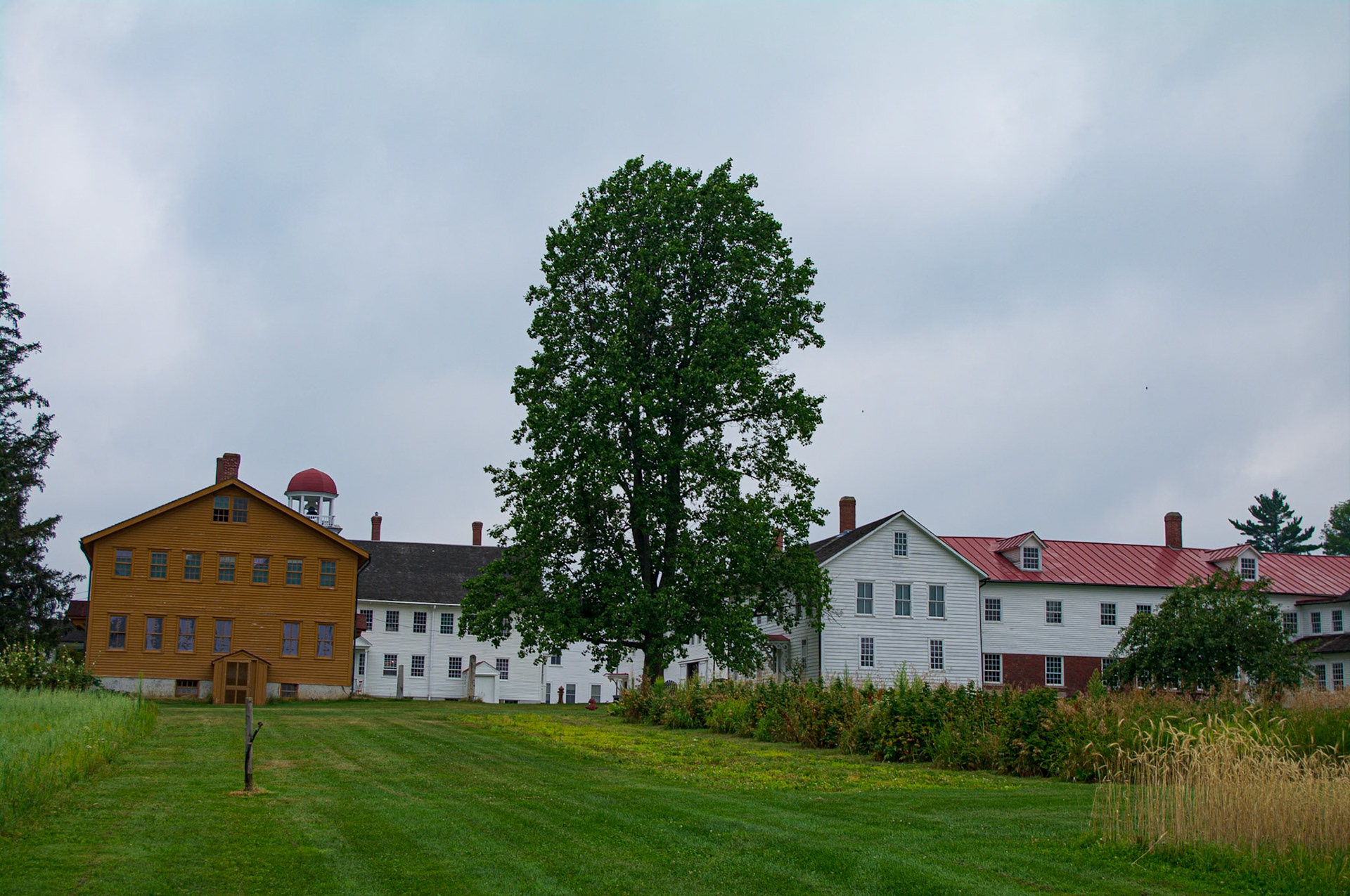 Tall Tree at Canterbury Shaker Village