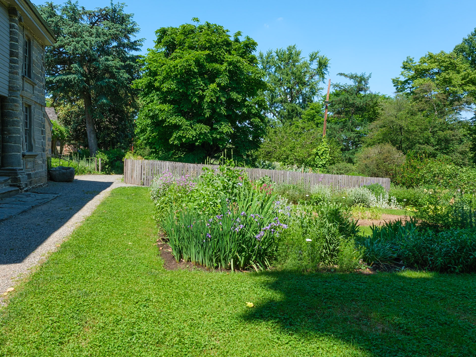 Garden Plots Near NE Corner of Bartram's Homestead