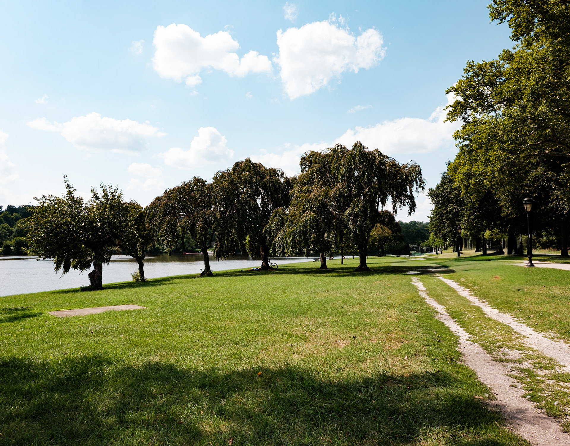 Willows at Fairmount Park