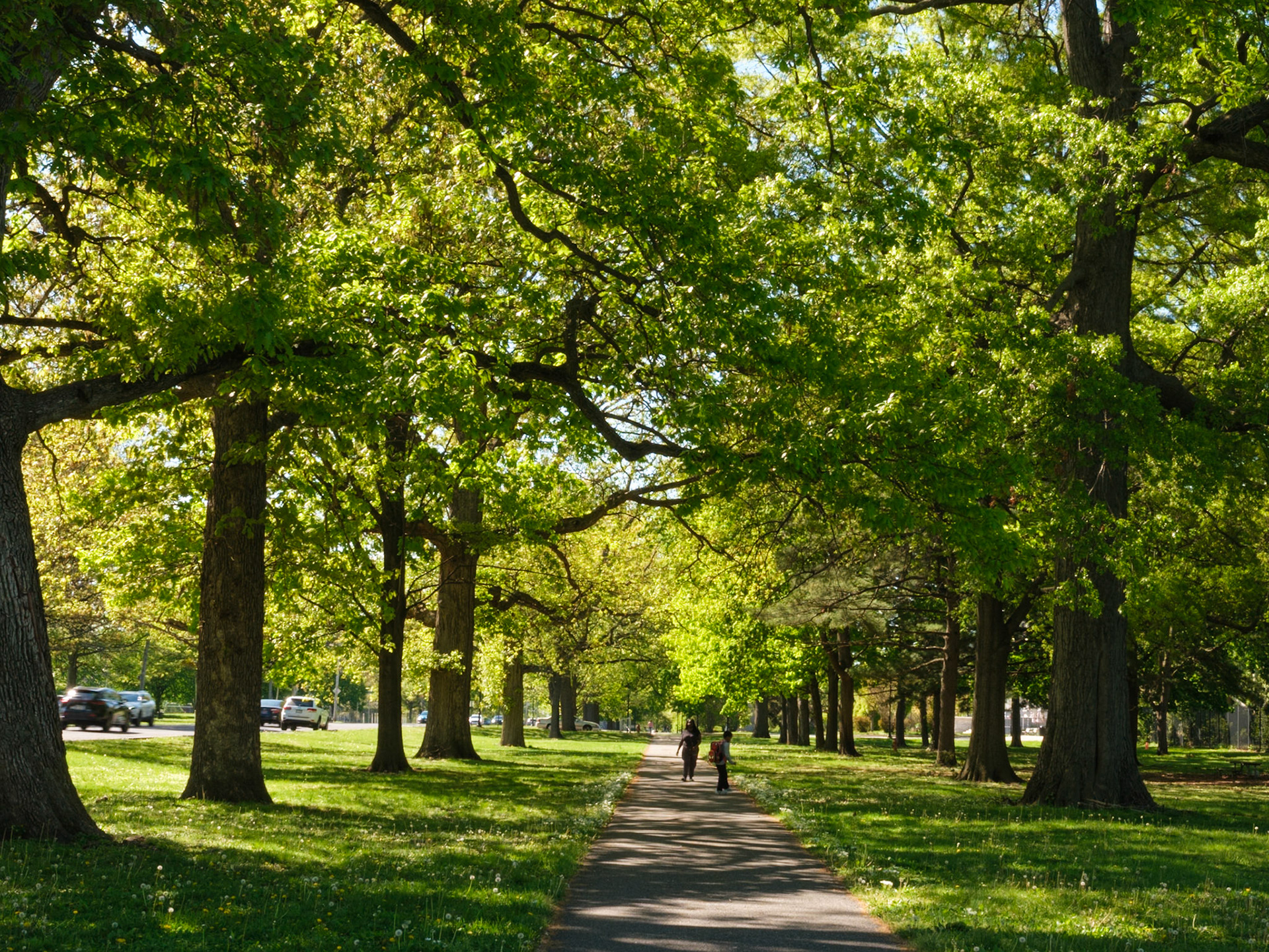 Looking West on Avenue of the Republic West of Touch Museum Plaza