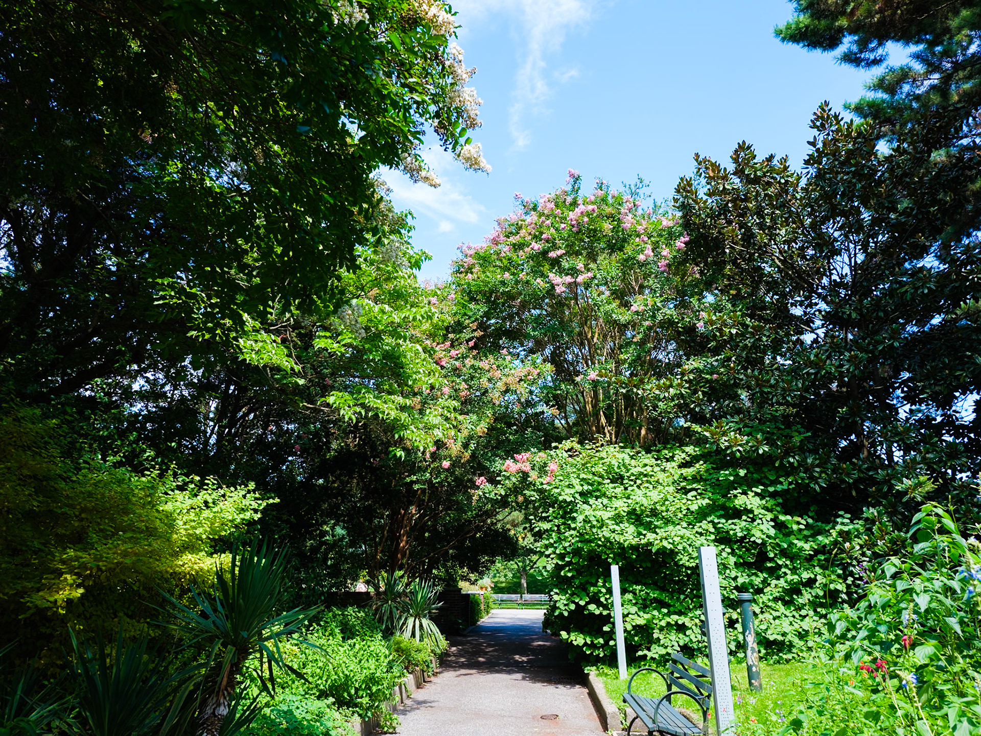 Ladies’ Border Walk at NYBG