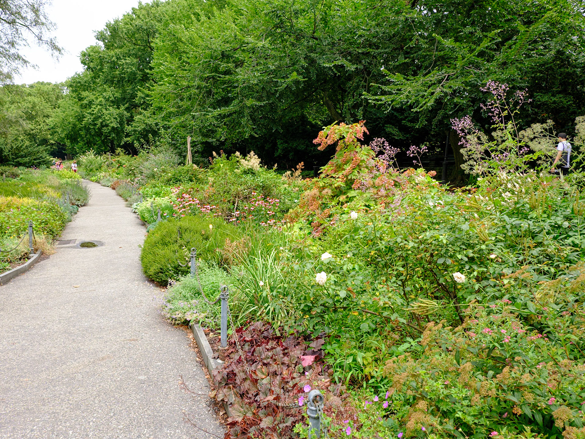Start of Summer Walk up a Summery Fort Tryon July 2024