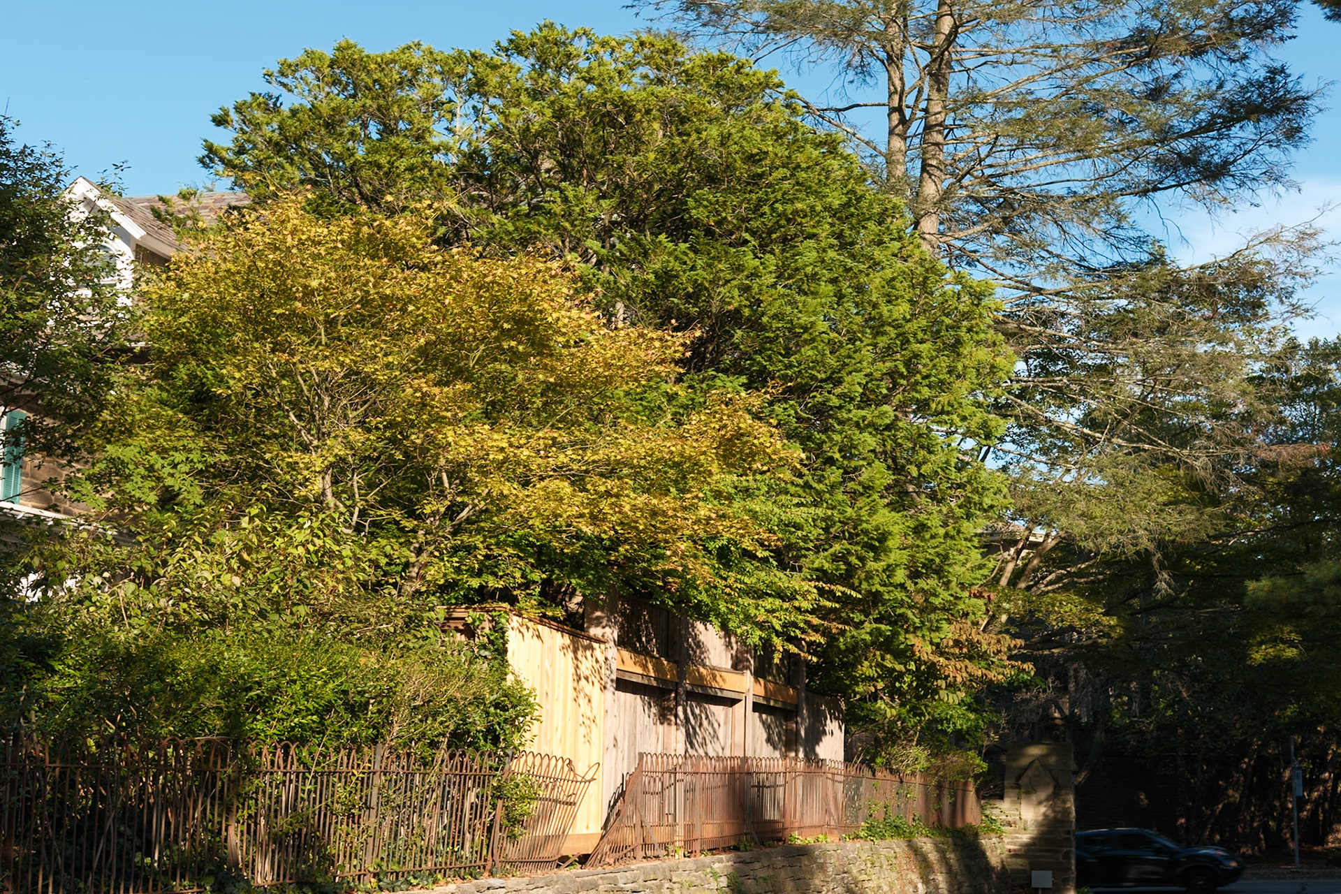 Yellows on Bethlehem Pike