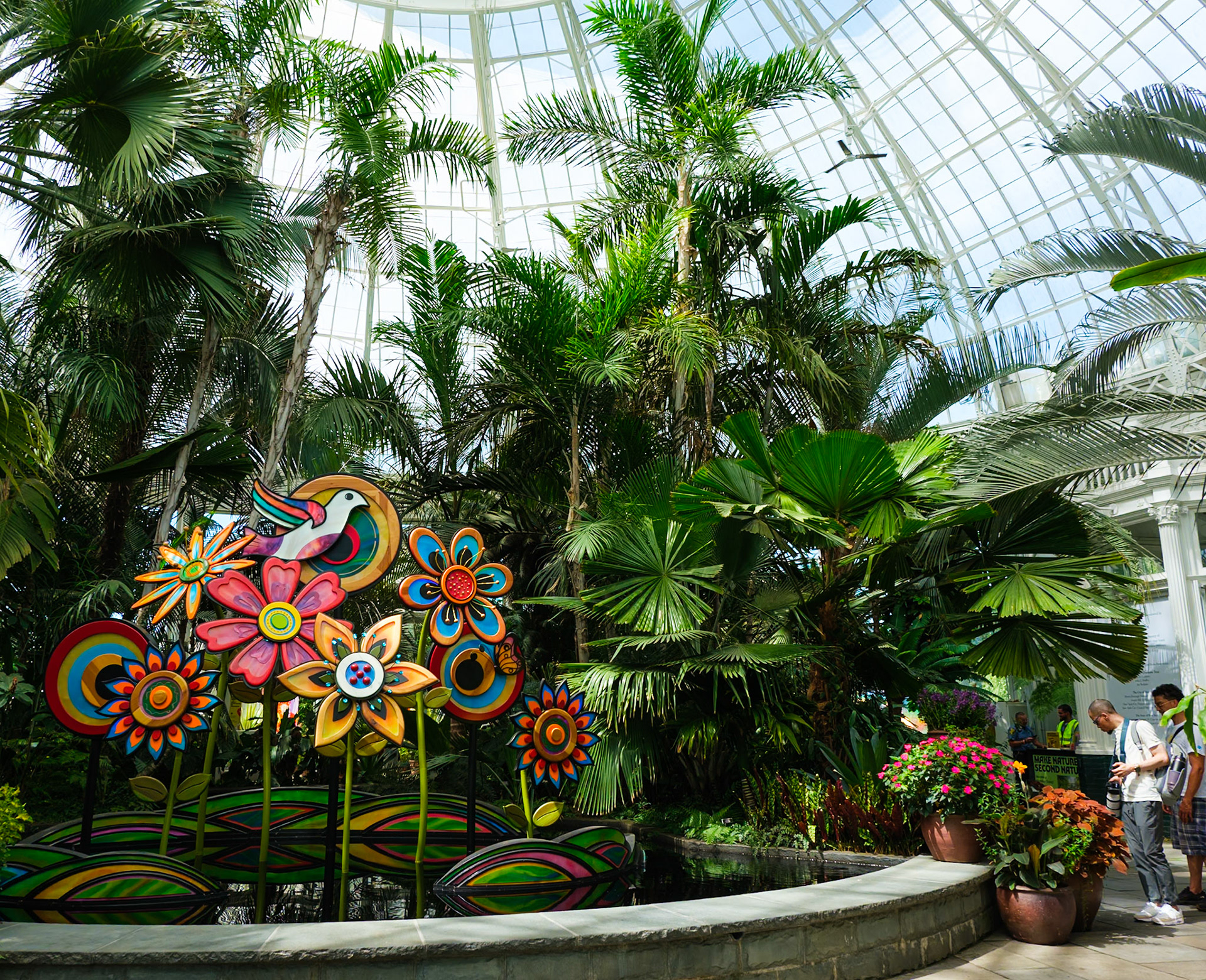 Flower Power at the Palm Court !  New York Botanical