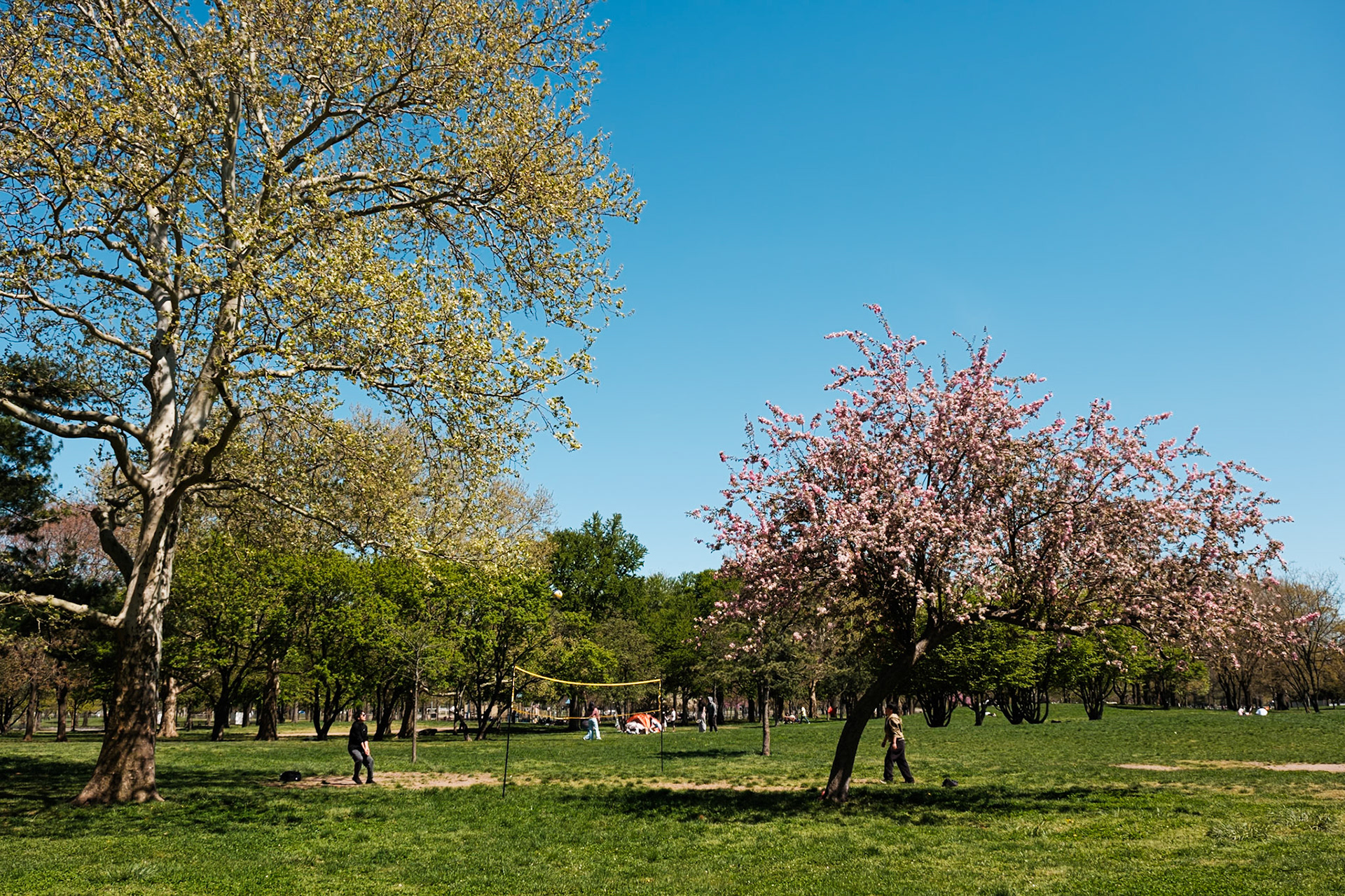Volley Ball Game at Flushing Meadows April 2024