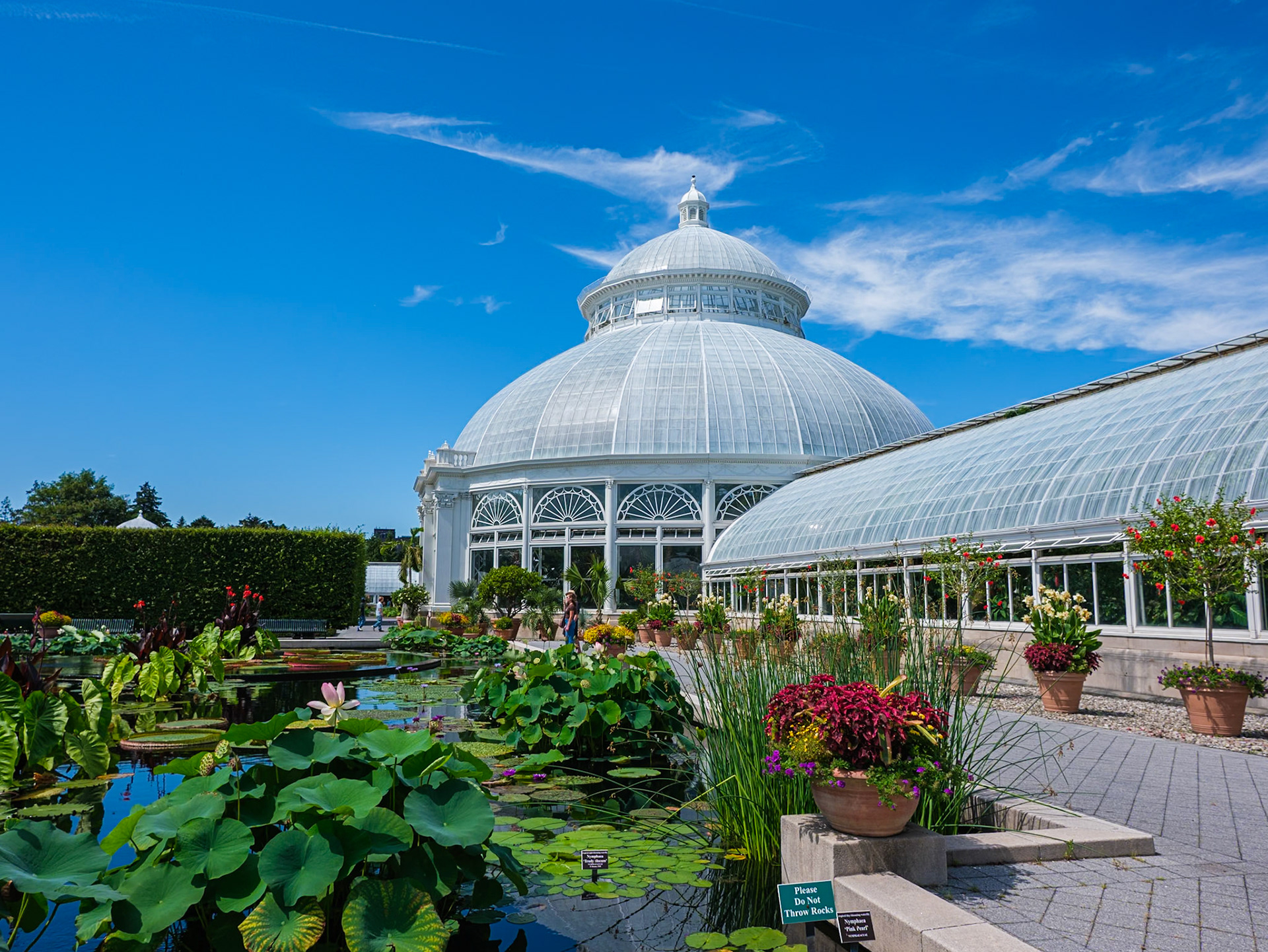 Water Garden and Conservatory