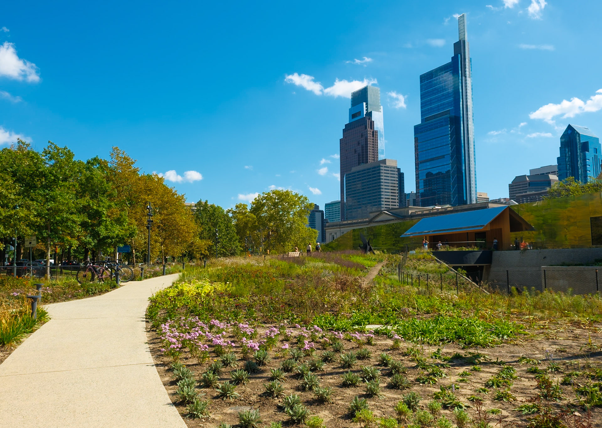 View of Skyline from Calder Garden