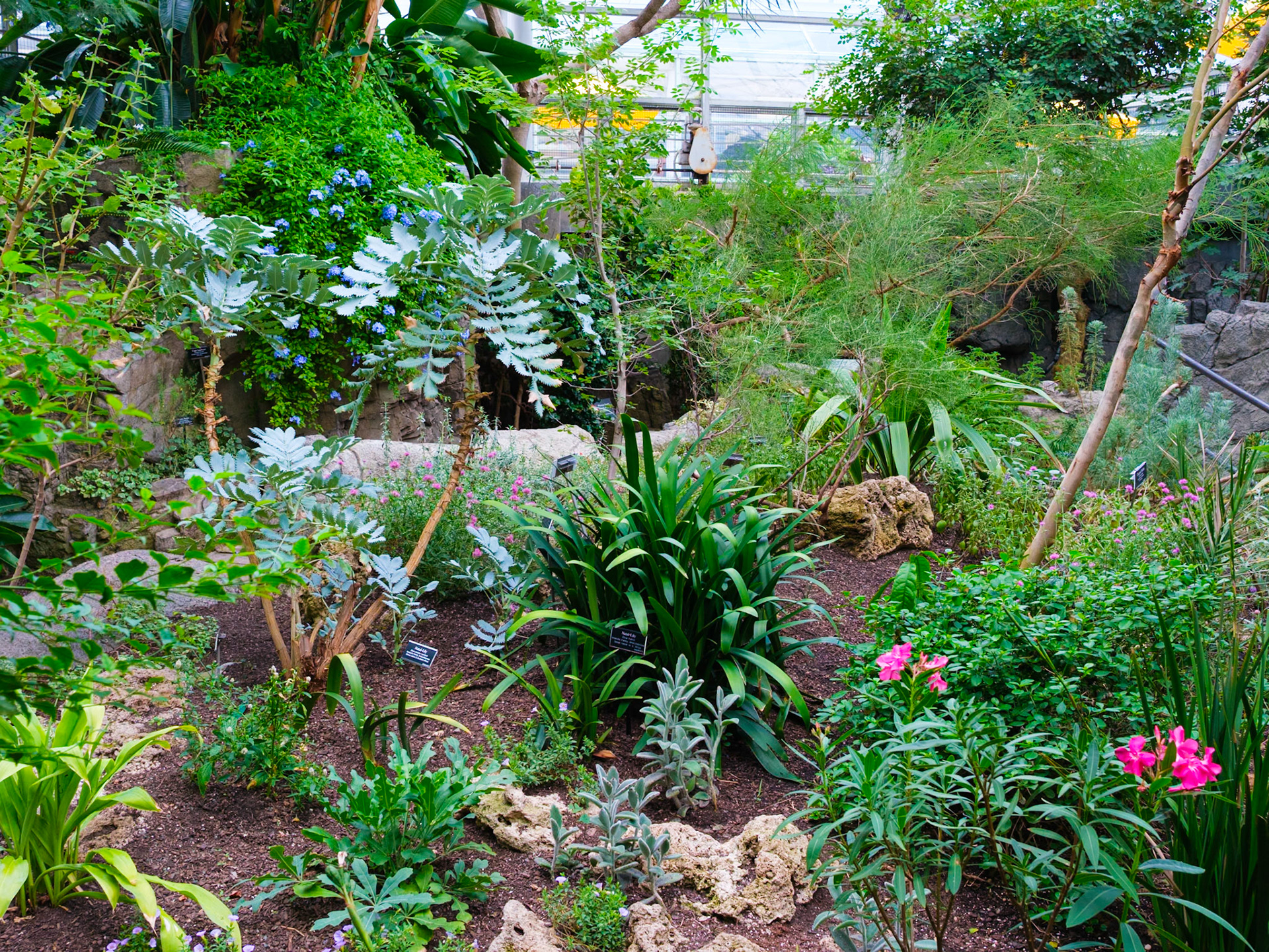 Entering Temperate Hall Brooklyn Botanic