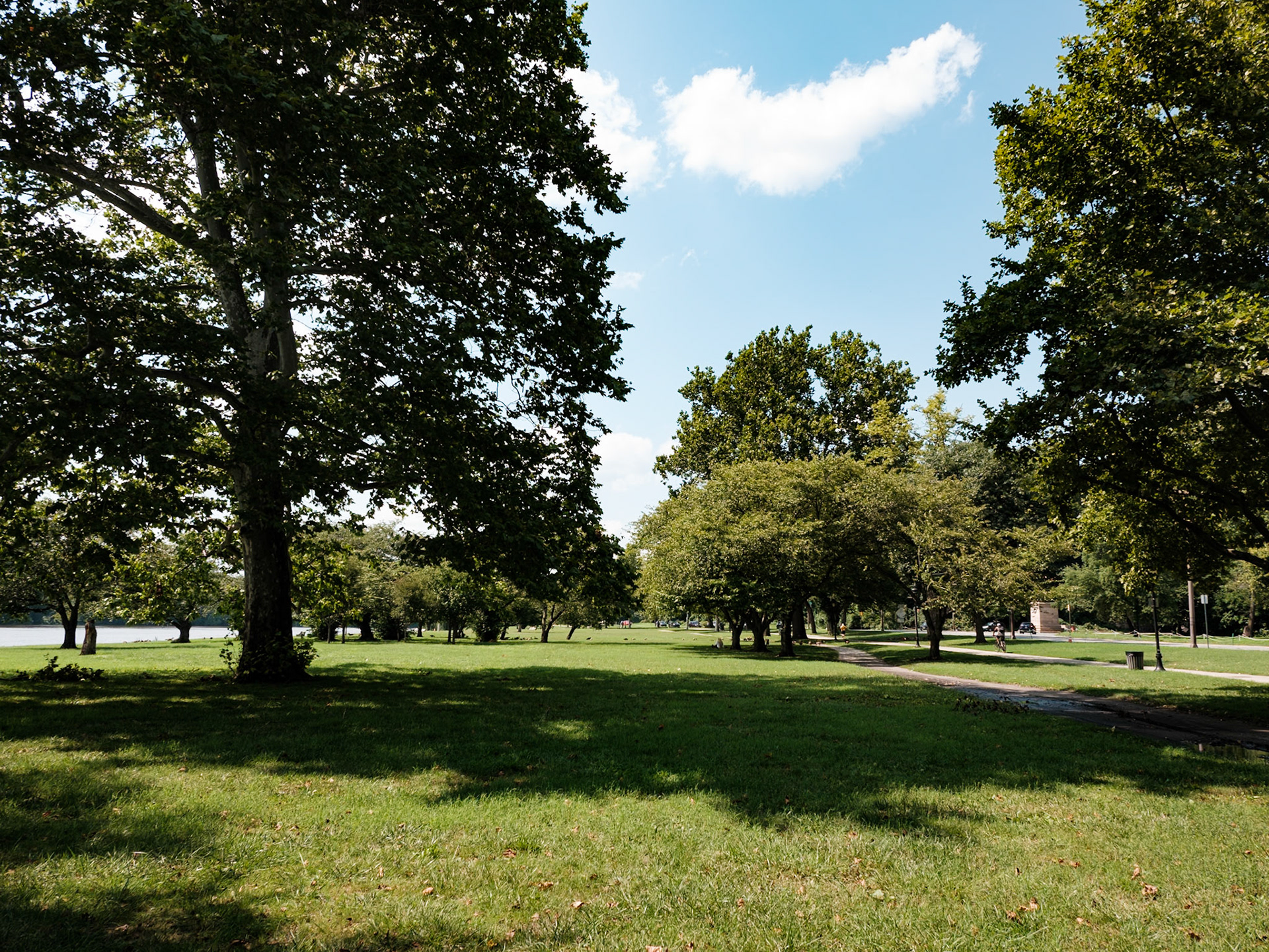 Larger Trees along Path in Fairmount Park