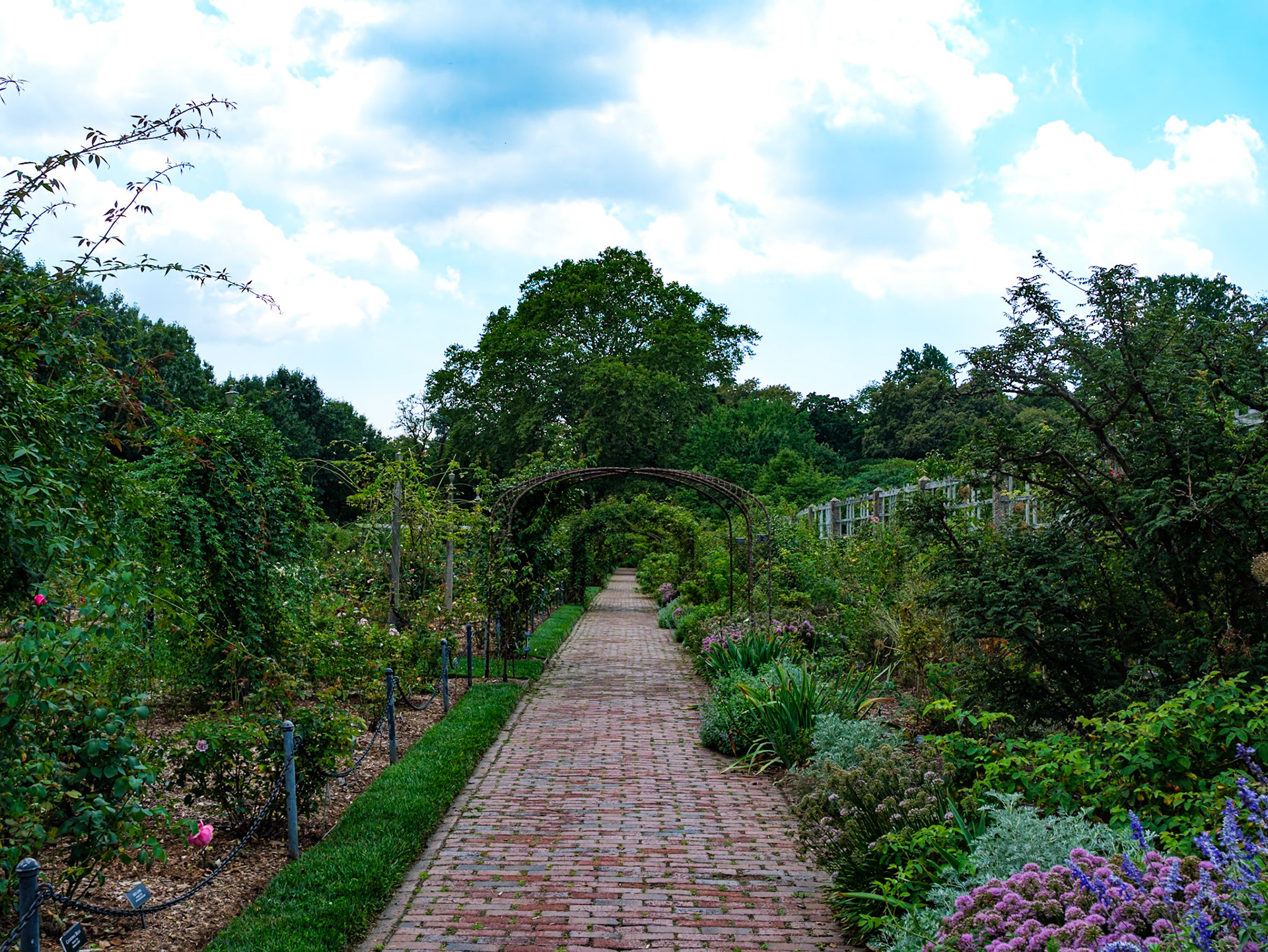 Rose Garden Walkway at Brooklyn Botanic