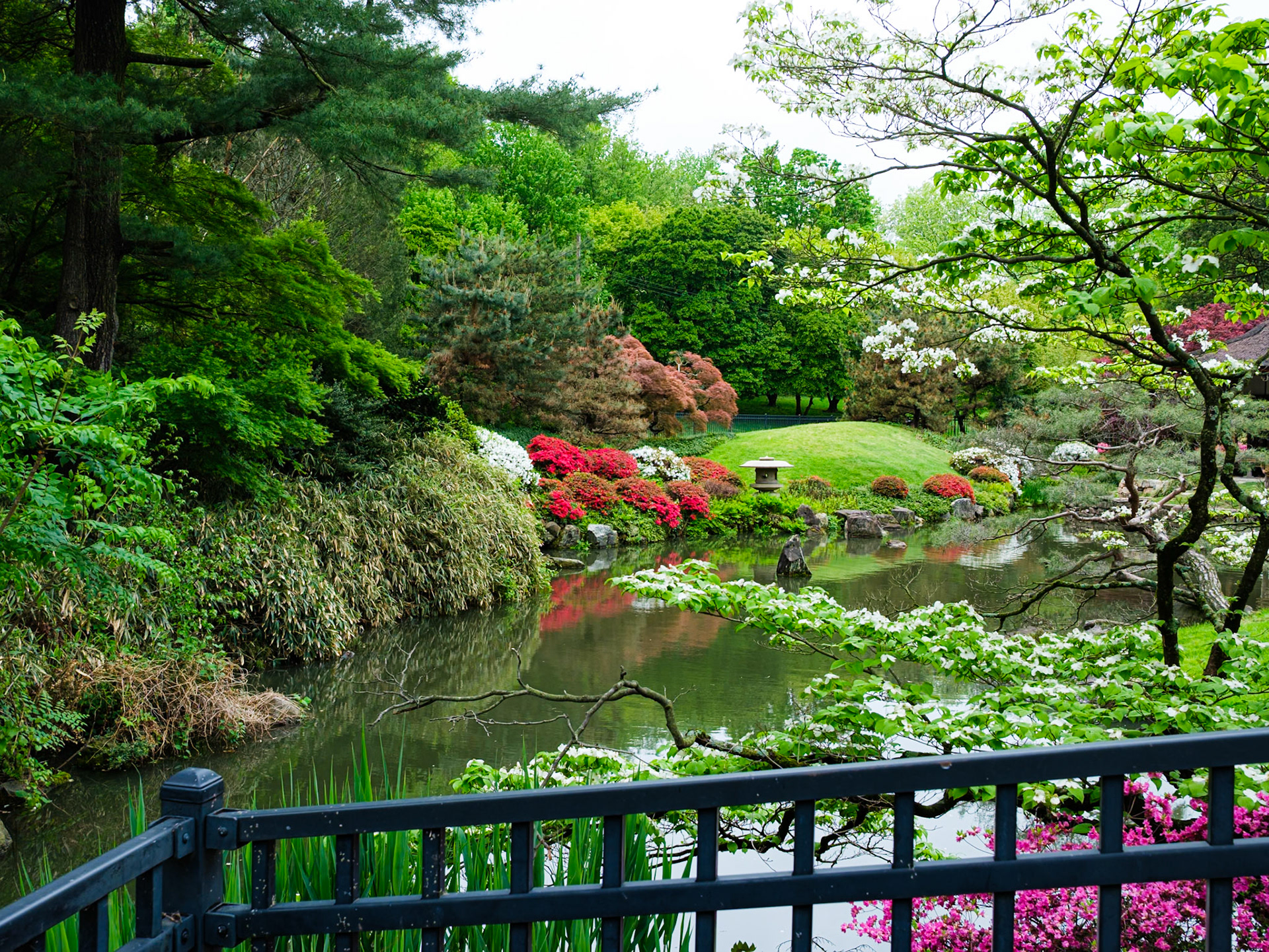 Red Blossoms at Japanese House Garden