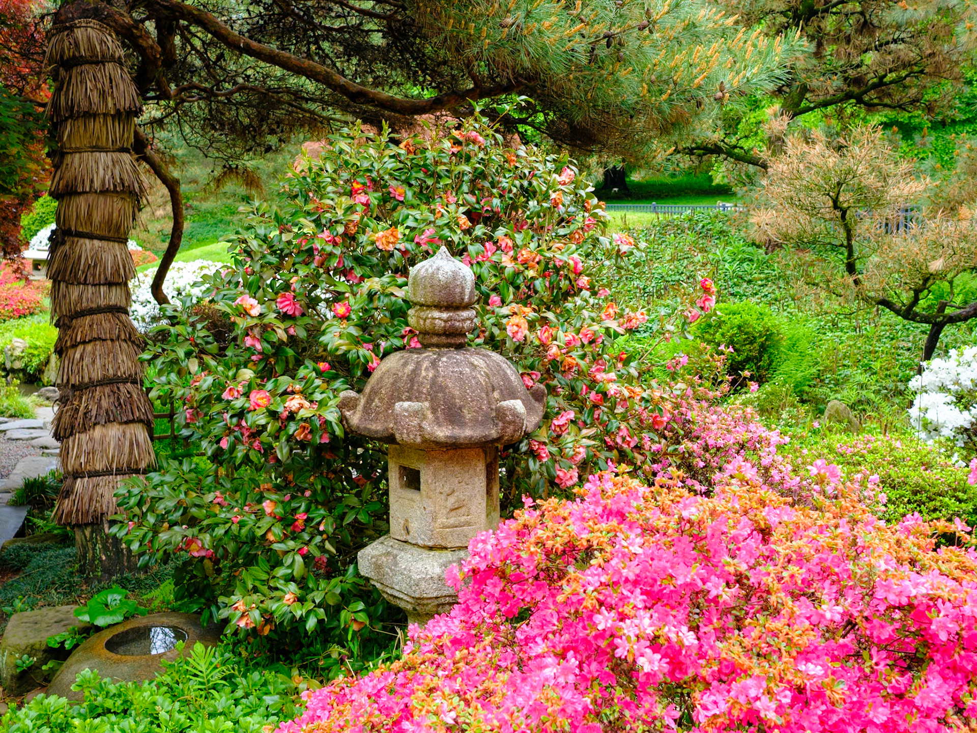 Small Japanese Monument and Bushes