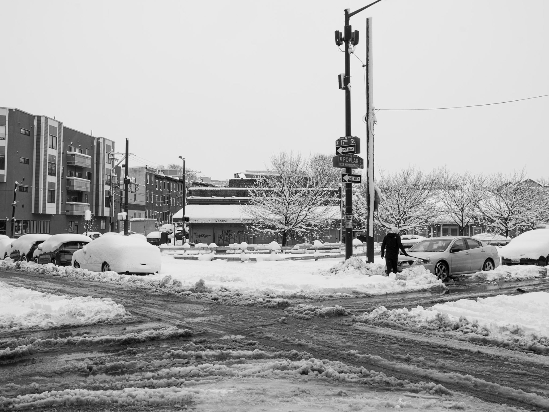 Poplar at 17th Street on 23 February
