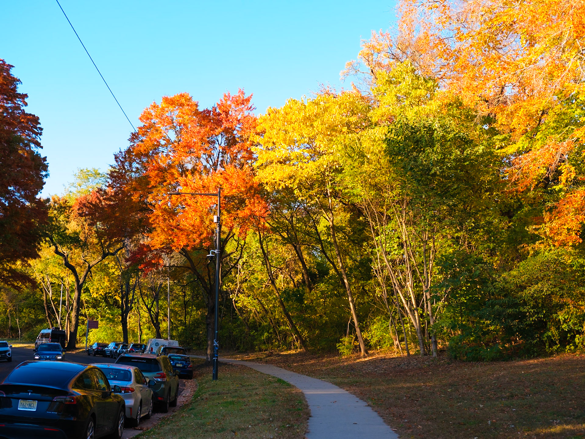 A Fall Turn on Sedgley Road