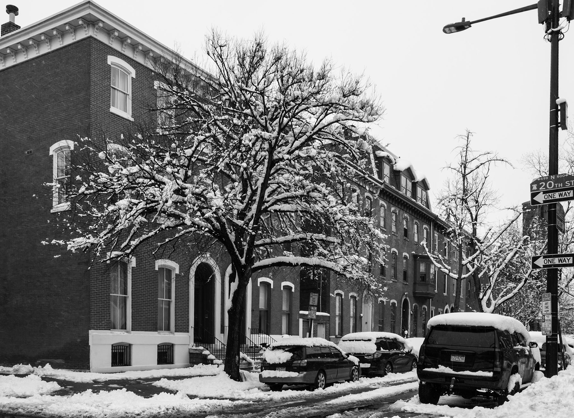 Snow Covered Trees on 20th Street