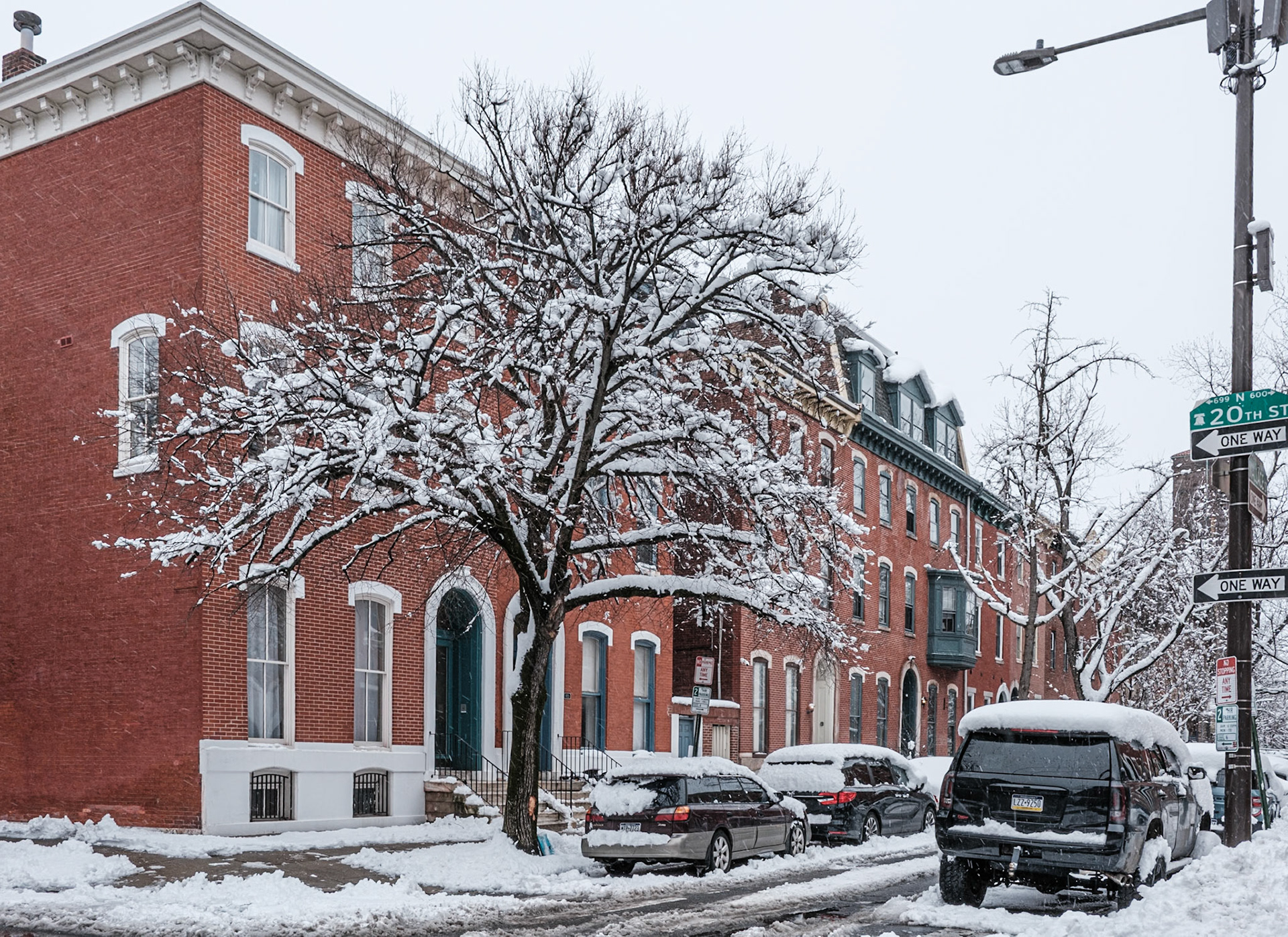 Snow Covered Trees on 20th Street
