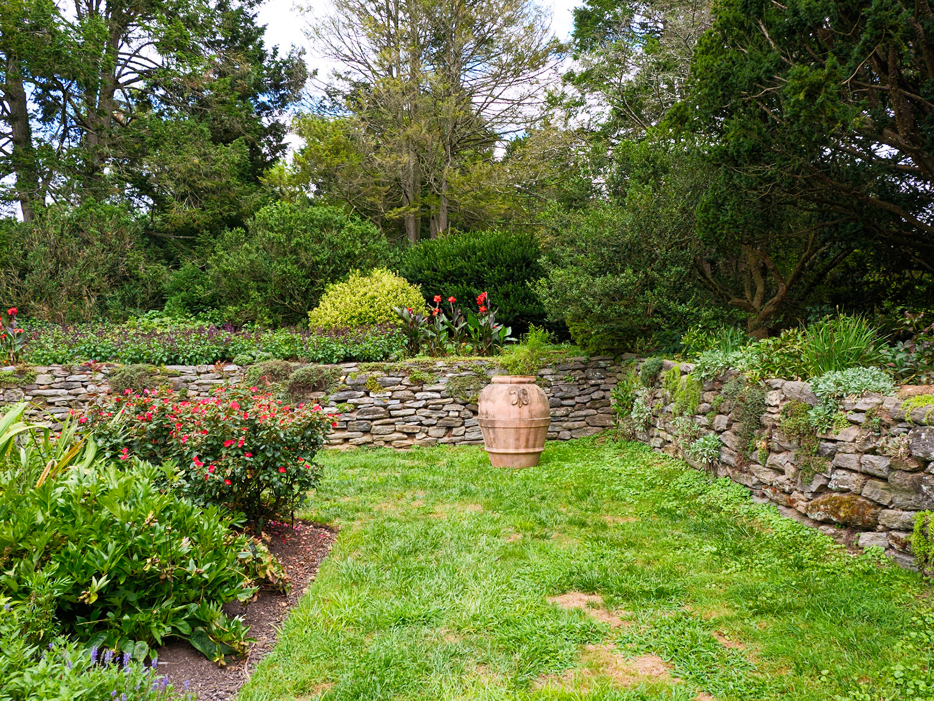 Planted in a Large Stone Vase in a Stonewalled Garden at Morris Arboretum August 2024