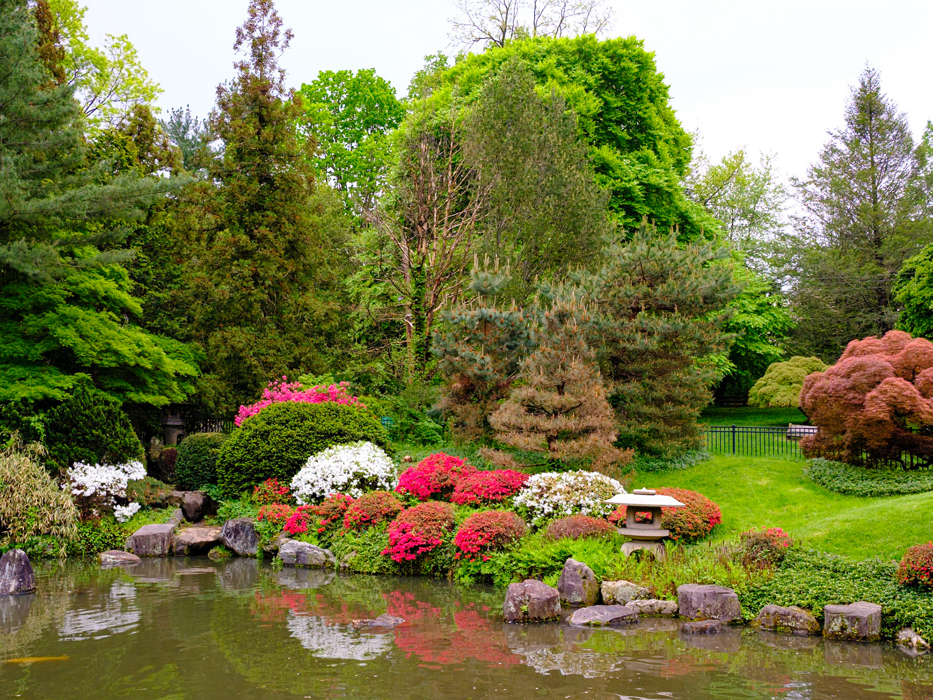 Large Trees and Pond at Japanese House