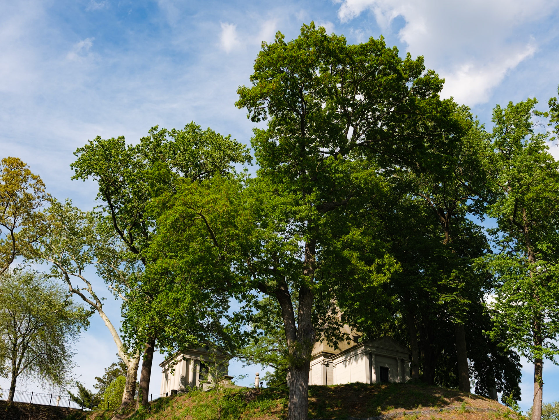 Trees and Mausoleums at Laurel Hill Cemetery