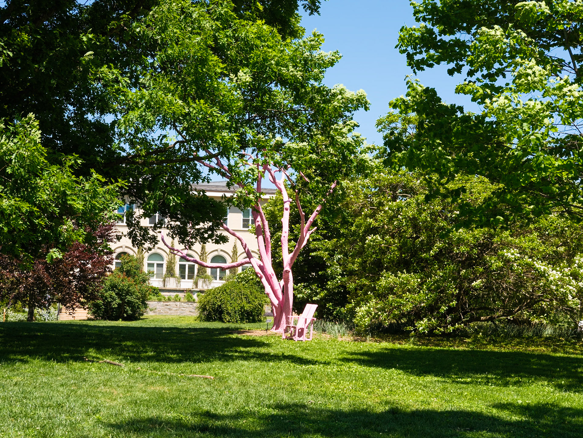 Chair and Painted ‘Tree’ at Swarthmore
