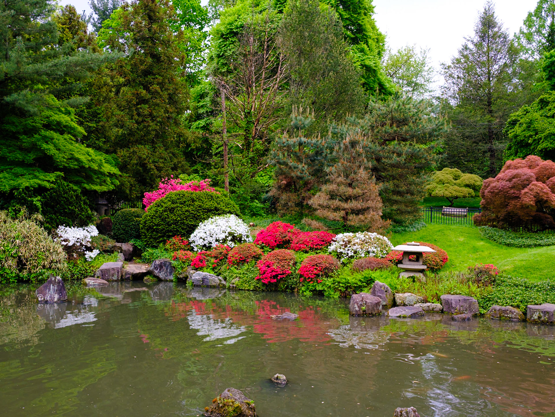 Reflecting Red and White Colors at Japanese House Pond