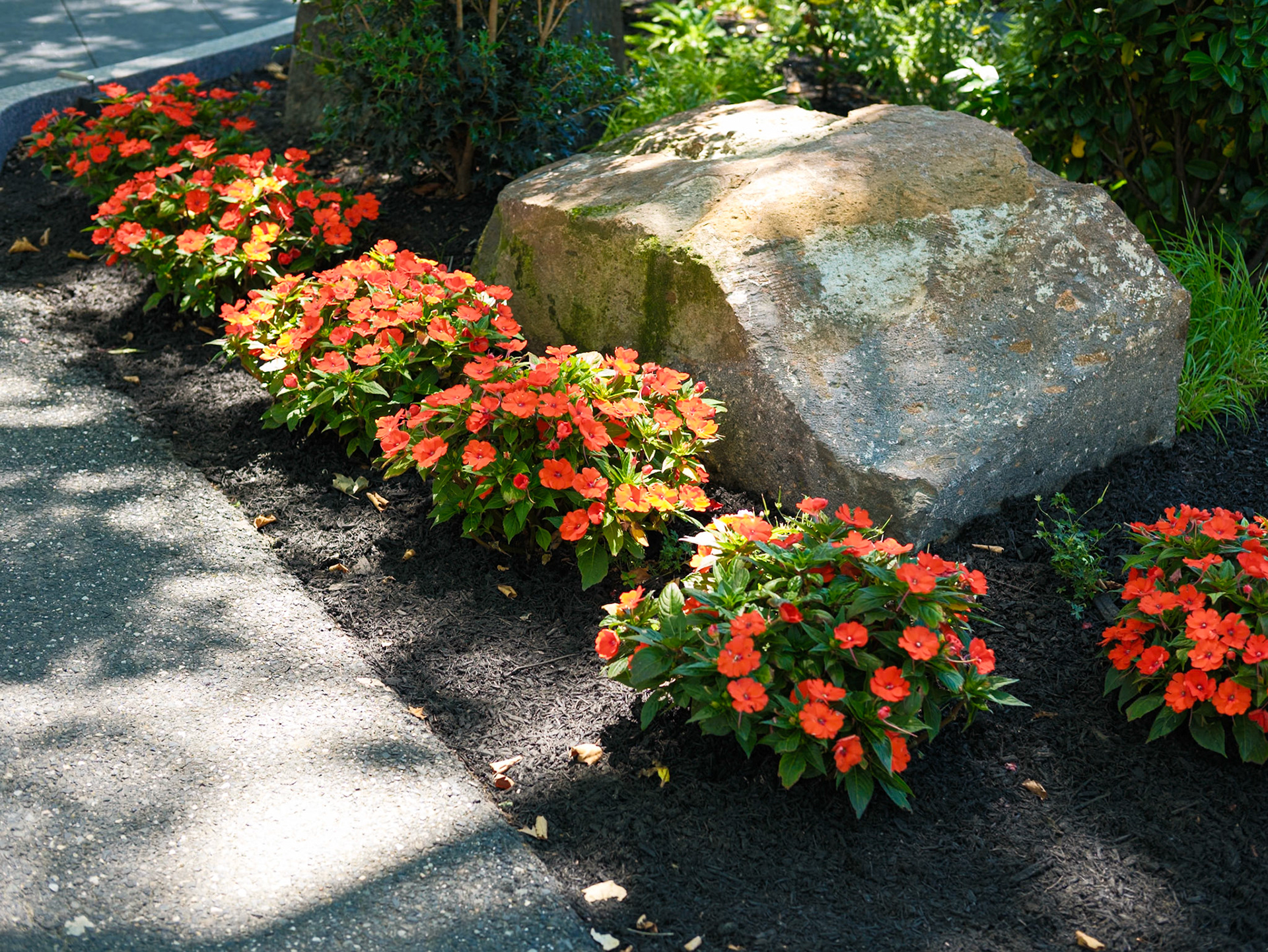 Reds and a Rock at Armenian Memorial Park