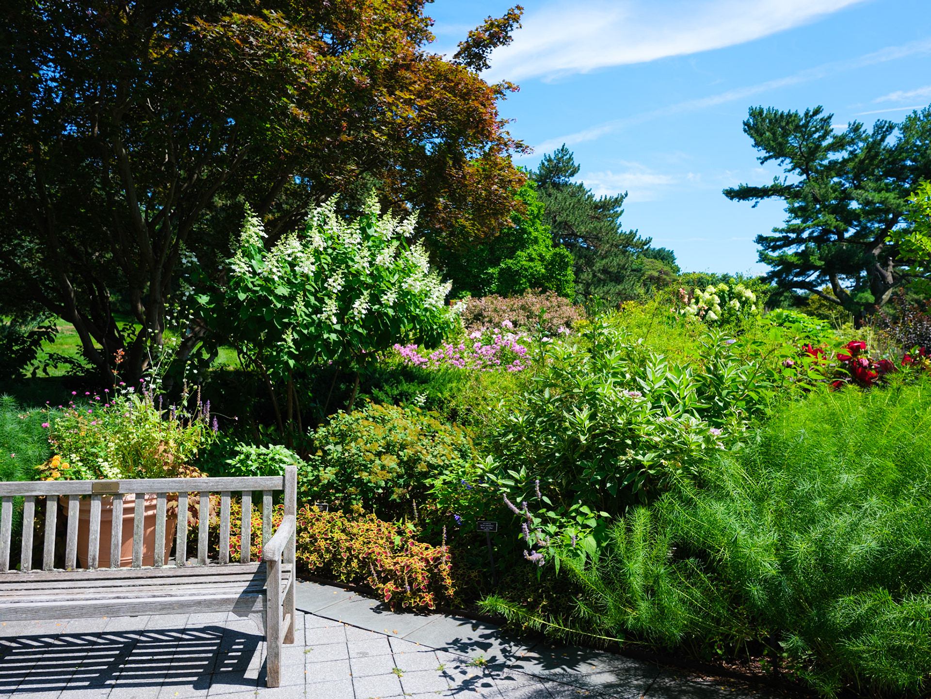 Start of Perennial Plaza Walk at New York Botanical